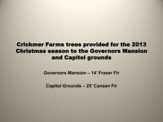 Crickmer Farms trees provided for the 2013
Christmas season to the Governors Mansion
and Capitol grounds
Governors Mansion – 14’ Fraser Fir
Capitol Grounds – 25’ Canaan Fir

 
