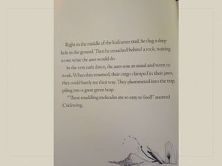 Crickwing By Jannell Cannon