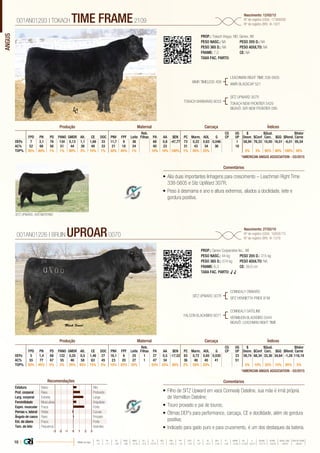ANGUS
•	Alia duas importantes linhagens para crescimento – Leachman Right Time
338-5605 e Sitz UpWard 307R;
•	Peso à desmama e ano e altura extremos, aliados a docilidade, leite e
gordura positiva.
PROP.: Tokach Angus, ND; Genex, WI
PESO NASC.: NA	 PESO 205 D.: NA
PESO 365 D.: NA 	 PESO ADULTO: NA
FRAME: 7,0 		 CE: NA
TAXA FAC. PARTO:
WMR TIMELESS 458
TOKACH BARBARAS 8033
LEACHMAN RIGHT TIME 338-5605
WMR BLACKCAP 521
SITZ UPWARD 307R
TOKACH NEW FRONTIER 5429
BISAVÔ: B/R NEW FRONTIER 095
001AN01293 | TOKACH TIME FRAME2109
Nascimento: 12/02/12
Nº de registro (USA): 17369058
Nº de registro (BR): IA-1421
Comentários
Reb.
Filhas
CG
CP
UG
UP
$
Desm.
$Qual.
Carc.
$Valor
CarneFPD PN PD PANO GMDR Alt. CE DOC PNV FPF Leite PA AA $EN PC Marm. AOL G $Conf $GQ $Rend.
DEPs 7 3,1 76 134 0,13 1,1 1,66 33 11,7 9 36 68 0,8 -47,77 73 0,22 0,63 0,046 1 58,94 76,33 10,00 16,01 -6,01 95,54
AC% 52 68 56 51 44 39 49 33 21 18 24 40 23 31 43 34 36 18
TOP% 35% 80% 1% 1% 80% 3% 10% 1% 30% 45% 1% 10% 10% 100% 1% 85% 25% 5% 3% 95% 80% 100% 30%
Produção Maternal Carcaça Índices
*AMERICAN ANGUS ASSOCIATION - 03/2015
•	Filho de SITZ Upward em vaca Connealy Dateline, sua mãe é irmã própria
de Vermillion Dateline;
•	Touro provado e pai de touros;
•	Ótimas DEP’s para performance, carcaça, CE e docilidade, além de gordura
positiva;
•	Indicado para gado puro e para cruzamento, é um dos destaques da bateria.
PROP.: Genex Cooperative Inc.. WI
PESO NASC.: 44 kg	 PESO 205 D.: 315 kg
PESO 365 D.: 574 kg 	 PESO ADULTO: NA
FRAME: 6,3 		 CE: 39,0 cm
TAXA FAC. PARTO: √ √
SITZ UPWARD 307R
FALCON BLACKBIRD 6071
CONNEALY ONWARD
SITZ HENRIETTA PRIDE 81M
CONNEALY DATELINE
VERMILION BLACKBIRD 5044
BISAVÔ: LEACHMAN RIGHT TIME
001AN01226 | BRUIN UPROAR0070
Nascimento: 27/02/10
Nº de registro (USA): 16858775
Nº de registro (BR): IA-1379
ComentáriosRecomendações
Reb.
Filhas
CG
CP
UG
UP
$
Desm.
$Qual.
Carc.
$Valor
CarneFPD PN PD PANO GMDR Alt. CE DOC PNV FPF Leite PA AA $EN PC Marm. AOL G $Conf $GQ $Rend.
DEPs 5 1,4 68 122 0,20 0,5 1,46 27 16,1 8 25 1 27 0,5 -17,52 63 0,72 0,65 0,030 23 59,74 68,34 33,36 34,64 -1,28 118,19
AC% 55 77 67 55 46 58 63 45 23 20 27 1 47 34 36 46 40 41 51
TOP% 50% 45% 5% 2% 35% 45% 15% 5% 10% 55% 35% 55% 25% 80% 2% 20% 20% 5% 10% 35% 15% 85% 5%
Produção Maternal Carcaça Índices
*AMERICAN ANGUS ASSOCIATION - 03/2015
Estatura Baixo Alto
Prof. corporal Raso Profundo
Larg. corporal Estreita Larga
Feminilidade Musculosa Angulosa
Expre. muscular Fraca Forte
Pernas v. lateral Retas Curvas
Ângulo de casco Raso Fincado
Est. de úbere Fraco Forte
Tam. de teto Pequenos Grandes
-3 -1-2 0 1 2 3
SITZ UPWARD, AVÔ MATERNO
10 | Média da raça
FPD PN PD PANO GMDR ALT CE DOC PNV FPF LEITE PA AA $EN PC MARM AOL G $DESM $CONF $QUAL CARC $VALOR CARNE
 +5  +1.7  +49  +86  +0.18  +0.5  +0.79  +11  +8.9  +9  +23  +27  +0.3  -5.40  +29  +0.45  +0.39  +0.011  +37.74  +35.54  +28.07  +80.81
 