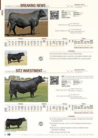 ANGUS
•	Touro jovem, filho de Uproar em vaca GAR New Design;
•	Combina facilidade de parto, crescimento, precocidade, docilidade e leite;
•	Ainda traz uma combinação inusitada de MARM, AOL e gordura positiva.
PROP.: Bruin Ranch, CA Genex, WI
PESO NASC.: 32 kg	 PESO 205 D.: 351 kg
PESO 365 D.: 675kg 	 PESO ADULTO: NA
FRAME: 5,6 		 CE: 43,0 cm
TAXA FAC. PARTO:
BRUIN UPROAR 0070
BRUIN 5050 PRINCESS 9401
SITZ UPWARD 307R
FALCON BLACKBIRD 6071
G A R NEW DESIGN 5050
BRUIN 109 KIND PRINCESS 6041
BISAVÔ: MYTTY IN FOCUS
001AN01310 | BRUIN BREAKING NEWS2201
Nascimento: 17/07/12
Nº de registro (USA): 17453152
Nº de registro (BR):
Comentários
Reb.
Filhas
CG
CP
UG
UP
$
Desm.
$Qual.
Carc.
$Valor
CarneFPD PN PD PANO GMDR Alt. CE DOC PNV FPF Leite PA AA $EN PC Marm. AOL G $Conf $GQ $Rend.
DEPs 11 -0,6 63 110 0,23 0,5 1,31 28 14,9 13 31 24 0,4 -21,95 46 0,85 1,01 0,024 64,34 64,10 45,12 37,93 7,19 125,00
AC% 35 43 32 34 33 46 46 37 16 10 17 33 19 21 35 26 31
TOP% 10% 15% 10% 10% 20% 45% 20% 4% 15% 10% 10% 60% 35% 90% 15% 10% 2% 3% 10% 10% 10% 30% 3%
Produção Maternal Carcaça Índices
*AMERICAN ANGUS ASSOCIATION - 03/2015
•	Traz dois grandes genearcas em seu pedigree, Connealy Final Product 568
e Sitz Upward 307R;
•	A exemplo de seus pais e avós, é um touro destaque para performance e
estrutura;
•	Alia tudo isso a excelente deposição de gordura, facilidade de parto,
precocidade e docilidade;
•	Quer um pouco mais? AOL e leite.
PROP.: Sitz Angus, MT Lawson Family Farms, VA TK Angus, NE Express
Ranches, OK Boyd Beef Cattle, KY Kenny Angus, IA Pitts Angus, MO Sauk
Valley Angus, IL Thomas Angus Ranch, OR
PESO NASC.: 39 kg	 PESO 205 D.: 410 kg
PESO 365 D.: 681 kg 	 PESO ADULTO: NA
FRAME: 5,0 		 CE: 38,8 cm
TAXA FAC. PARTO:
CONNEALY FINAL PRODUCT
SITZ ELLUNAS ELITE 656T
CONNEALY PRODUCT 568
EBONISTA OF CONANGA 471
SITZ UPWARD 307R
SITZ ELLUNAS ELITE 35M
BISAVÔ: BON VIEW NEW DESIGN 1407
001AN01300 | SITZ INVESTMENT660Z
Nascimento: 26/01/12
Nº de registro (USA): 17179119
Nº de registro (BR):
Comentários
Reb.
Filhas
CG
CP
UG
UP
$
Desm.
$Qual.
Carc.
$Valor
CarneFPD PN PD PANO GMDR Alt. CE DOC PNV FPF Leite PA AA $EN PC Marm. AOL G $Conf $GQ $Rend.
DEPs 9 0,9 75 141 0,19 0,7 1,41 26 13,0 10 34 -2 0,1 -36,72 53 0,44 0,79 0,088 22 70,75 98,30 20,11 25,47 -5,36 102,07
AC% 63 81 72 65 47 53 72 49 22 20 26 43 28 36 46 40 40 45
TOP% 20% 35% 2% 1% 40% 25% 15% 10% 25% 35% 2% 90% 70% 100% 10% 50% 10% 1% 1% 80% 50% 95% 20%
Produção Maternal Carcaça Índices
*AMERICAN ANGUS ASSOCIATION - 03/2015
UPROAR, PAI
SITZ UPWARD, AVÔ MATERNO
12 | Média da raça
FPD PN PD PANO GMDR ALT CE DOC PNV FPF LEITE PA AA $EN PC MARM AOL G $DESM $CONF $QUAL CARC $VALOR CARNE
 +5  +1.7  +49  +86  +0.18  +0.5  +0.79  +11  +8.9  +9  +23  +27  +0.3  -5.40  +29  +0.45  +0.39  +0.011  +37.74  +35.54  +28.07  +80.81
 