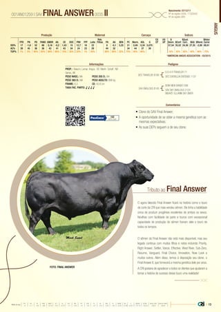 ANGUS
001AN01259 | SAV FINAL ANSWER0035 II Nascimento: 07/12/11
Nº de registro (USA): 17320042
Nº de registro (BR):
•	Clone do SAV Final Answer;
•	A oportunidade de se obter a mesma genética com as
mesmas expectativas;
•	As suas DEPs seguem a de seu clone.
PROP.: Baker’s Lemar Angus, SD Martin Schaff, ND
Genex, WI
PESO NASC.: NA	 PESO 205 D.: NA
PESO 365 D.: NA 	 PESO ADULTO: 898 kg
FRAME: 6,3 		 CE: 42,6 cm
TAXA FAC. PARTO: √ √ √ √
SITZ TRAVELER 8180
SAV EMULOUS 8145
G D A R TRAVELER 71
SITZ EVERELDA ENTENSE 1137
BOM VIEW BANDO 598
SAV SKY EMULOUS 2124
BISAVÔ: ELLANIN SKY DIVER
Informações Pedigree
Comentários
Reb.
Filhas
CG
CP
UG
UP
$
Desm.
$Qual.
Carc.
$Valor
CarneFPD PN PD PANO GMDR Alt. CE DOC PNV FPF Leite PA AA $EN PC Marm. AOL G $Conf $GQ $Rend.
DEPs 17 -1,6 52 86 0,16 -0,2 1,43 15 12,7 16 22 6 -0,1 5,25 21 0,49 0,34 0,075 57,54 35,52 24,36 27,35 -2,99 69,41
AC% 39 45 36 36 43 41 43 34 24 23 29 44 32 34 44 37 39
TOP% 1% 5% 45% 55% 60% 95% 15% 35% 25% 1% 55% 80% 90% 25% 75% 45% 60% 10% 55% 65% 40% 90% 75%
Produção Maternal Carcaça Índices
*AMERICAN ANGUS ASSOCIATION - 03/2015
102
82% Conf.
Tributo ao
O agora falecido Final Answer ficará na história como o touro
de corte da CRI que mais vendeu sêmen. Ele tinha a habilidade
única de produzir progênies excelentes de ambos os sexos.
Novilhas com facilidade de parto e touros com excepcional
capacidade de produção de sêmen fizeram dele o touro de
todos os tempos.
O sêmen do Final Answer não está mais disponível, mas seu
legado continua com muitos filhos e netos incluindo Priority,
Right Answer, Settler, Vance, Effective, West River, Sub-Zero,
Resume, Vanguard, Final Choice, Innovation, Now Look e
muitos outros. Além disso, temos à disposição seu clone, o
Final Answer II, que fornecerá a mesma genética dele por anos.
A CRI gostaria de agradecer a todos os clientes que ajudaram a
tornar a história de sucesso desse touro uma realidade!
Final Answer
FOTO: FINAL ANSWER
| 13Média da raça
FPD PN PD PANO GMDR ALT CE DOC PNV FPF LEITE PA AA $EN PC MARM AOL G $DESM $CONF $QUAL CARC $VALOR CARNE
 +5  +1.7  +49  +86  +0.18  +0.5  +0.79  +11  +8.9  +9  +23  +27  +0.3  -5.40  +29  +0.45  +0.39  +0.011  +37.74  +35.54  +28.07  +80.81
 