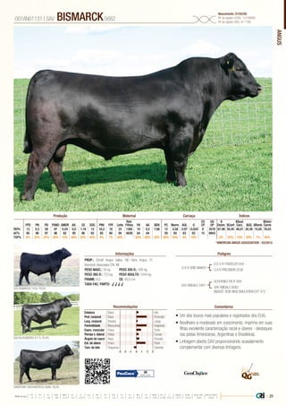 ANGUS
•	Um dos touros mais populares e registrados dos EUA;
•	Novilheiro e moderado em crescimento, imprime em suas
filhas excelente caracterização racial e úberes - destaques
nas pistas Americanas, Argentinas e Brasileiras;
•	Linhagem aberta SAV proporcionando acasalamento
complementar com diversas linhagens.
PROP.: Schaff Angus Valley. ND Adris Angus. FL
Bismarck Associates CRI. WI
PESO NASC.: 34 kg	 PESO 205 D.: 400 kg
PESO 365 D.: 723 kg 	 PESO ADULTO: 1044 kg
FRAME: 6,0 		 CE: 40,0 cm
TAXA FAC. PARTO: √ √ √ √
G A R GRID MAKER
SAV ABIGALE 0451
G D A R TRAVELER 044
G A R PRECISION 2536
SAV BLACKBERRY 0113, FILHO
SAV BISMARCK 7434, FILHO
SANDPOINT ENCHANTRESS 8986, FILHA
SCHOENES FIX IT 826
SAV ABIGALE 6062
BISAVÔ: BON VIEW EMULATION EXT 473
001AN01131 | SAV BISMARCK5682
Nascimento: 01/02/05
Nº de registro (USA): 15109865
Nº de registro (BR): IA-1188
Informações Pedigree
ComentáriosRecomendações
Reb.
Filhas
CG
CP
UG
UP
$
Desm.
$Qual.
Carc.
$Valor
CarneFPD PN PD PANO GMDR Alt. CE DOC PNV FPF Leite PA AA $EN PC Marm. AOL G $Conf $GQ $Rend.
DEPs 13 0,3 58 97 0,24 0,0 1,16 13 18,2 16 23 1365 19 0,2 7,66 12 0,58 0,97 -0,024 8 3576 67,98 50,45 46,01 30,36 15,65 78,03
AC% 95 98 97 96 82 95 96 93 65 90 94 4839 84 84 59 65 63 62 15 8943
TOP% 4% 25% 25% 30% 15% 90% 25% 45% 4% 1% 50% 65% 60% 20% 90% 30% 3% 10% 2% 25% 10% 30% 1% 65%
Produção Maternal Carcaça Índices
*AMERICAN ANGUS ASSOCIATION - 03/2015
Estatura Baixo Alto
Prof. corporal Raso Profundo
Larg. corporal Estreita Larga
Feminilidade Musculosa Angulosa
Expre. muscular Fraca Forte
Pernas v. lateral Retas Curvas
Ângulo de casco Raso Fincado
Est. de úbere Fraco Forte
Tam. de teto Pequenos Grandes
-3 -1-2 0 1 2 3
99
92% Conf.
| 21Média da raça
FPD PN PD PANO GMDR ALT CE DOC PNV FPF LEITE PA AA $EN PC MARM AOL G $DESM $CONF $QUAL CARC $VALOR CARNE
 +5  +1.7  +49  +86  +0.18  +0.5  +0.79  +11  +8.9  +9  +23  +27  +0.3  -5.40  +29  +0.45  +0.39  +0.011  +37.74  +35.54  +28.07  +80.81
 