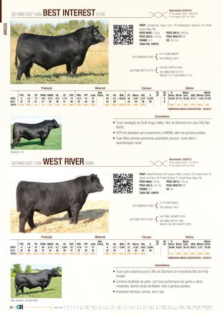 ANGUS
•	Touro revelação da Shaff Angus Valley, filho de Bismarck em vaca SAV Net
Worth;
•	DEPs de destaque para crescimento e MARM, além da gordura positiva;
•	Suas filhas deverão apresentar puberdade precoce, muito leite e
caracterização racial.
PROP.: Shadybrook Angus Farm, TN Beitelspacher Ranches, SD Schaff
Angus Valley, ND
PESO NASC.: 33 kg	 PESO 205 D.: 406 kg
PESO 365 D.: 758 kg 	 PESO ADULTO: NA
FRAME: 6,0 		 CE: 40,0 cm
TAXA FAC. PARTO:
SAV BISMARCK 5682
SAV EMBLYNETTE 8172
G A R GRID MAKER
SAV ABIGALE 0451
SAV NET WORTH 4200
SAV EMBLYNETTE 8172
BISAVÔ: S A F 598 BANDO 5175
001AN01307 | SAV BEST INTEREST0136
Nascimento: 02/03/10
Nº de registro (USA): 16687652
Nº de registro (BR): IA-1538
Comentários
Reb.
Filhas
CG
CP
UG
UP
$
Desm.
$Qual.
Carc.
$Valor
CarneFPD PN PD PANO GMDR Alt. CE DOC PNV FPF Leite PA AA $EN PC Marm. AOL G $Conf $GQ $Rend.
DEPs 2 4,3 72 129 0,27 0,8 1,74 12 12,5 10 31 34 0,4 -30,62 52 0,81 0,37 0,020 8 55,80 87,15 35,26 37,21 -1,84 121,00
AC% 57 72 61 51 45 39 51 36 22 20 25 43 29 33 44 36 38 8
TOP% 70% 95% 2% 1% 5% 15% 5% 50% 25% 35% 10% 45% 35% 100% 10% 10% 55% 10% 2% 30% 10% 90% 4%
Produção Maternal Carcaça Índices
*AMERICAN ANGUS ASSOCIATION - 03/2015
•	Touro para rebanhos puros, filho de Bismarck em importante filha de Final
Answer;
•	Combina facilidade de parto, com boa performance de ganho e altura
moderada, aliando ainda docilidade, leite e gordura positiva;
•	Impecável estrutura, pernas, pés e tipo.
PROP.: Ratcliff Ranches, OK Fortune’s Rafter U Ranch, SD Carstens Farm, IA
Albrect and Penz, OK Pender Brothers, FL Schaff Angus Valley, ND
PESO NASC.: 34 kg	 PESO 205 D.: 435 kg
PESO 365 D.: 637 kg 	 PESO ADULTO: NA
FRAME: 6,0 		 CE: NA
TAXA FAC. PARTO:
SAV BISMARCK 5682
SAV EMBLYNETTE 0491
G A R GRID MAKER
SAV ABIGALE 0451
SAV FINAL ANSWER 0035
SAV EMBLYNETTE 7566
BISAVÔ: SAV NET WORTH 4200
001AN01287 | SAV WEST RIVER2066
Nascimento: 23/02/12
Nº de registro (USA): 17318919
Nº de registro (BR): IA-1500
Comentários
Reb.
Filhas
CG
CP
UG
UP
$
Desm.
$Qual.
Carc.
$Valor
CarneFPD PN PD PANO GMDR Alt. CE DOC PNV FPF Leite PA AA $EN PC Marm. AOL G $Conf $GQ $Rend.
DEPs 9 1,6 57 95 0,15 0,1 0,66 22 17,6 13 27 6 -0,1 -5,90 21 0,53 0,63 0,040 59,68 42,82 34,18 28,81 5,37 76,50
AC% 42 48 36 37 44 38 49 41 22 20 25 42 29 32 43 35 38
TOP% 20% 50% 25% 35% 70% 85% 60% 15% 5% 10% 25% 80% 90% 50% 75% 35% 25% 5% 40% 55% 35% 45% 65%
Produção Maternal Carcaça Índices
*AMERICAN ANGUS ASSOCIATION - 03/2015
BISMARCK, PAI
FINAL ANSWER, AVÔ MATERNO
22 | Média da raça
FPD PN PD PANO GMDR ALT CE DOC PNV FPF LEITE PA AA $EN PC MARM AOL G $DESM $CONF $QUAL CARC $VALOR CARNE
 +5  +1.7  +49  +86  +0.18  +0.5  +0.79  +11  +8.9  +9  +23  +27  +0.3  -5.40  +29  +0.45  +0.39  +0.011  +37.74  +35.54  +28.07  +80.81
 