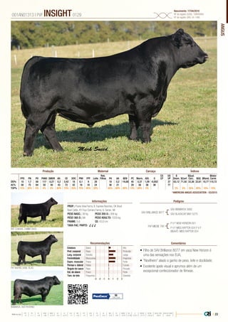 ANGUS
•	Filho de SAV Brilliance 8077 em vaca New Horizon é
uma das sensações nos EUA;
•	“Novilheiro” aliado a ganho de peso, leite e docilidade;
•	Excelente apelo visual e aprumos além de um
excepcional confeccionador de fêmeas.
PROP.: Prairie View Farms, IL Express Ranches, OK Boyd
Beef Cattle, KY Four Corners Farms, IL Genex, WI
PESO NASC.: 38 kg	 PESO 205 D.: 308 kg
PESO 365 D.: NA 	 PESO ADULTO: 1029 kg
FRAME: 5,6 		 CE: 43,0 cm
TAXA FAC. PARTO: √ √ √
SAV BRILLIANCE 8077
PVF MISSIE 790
SAV BISMARCK 5682
SAV BLACKCAP MAY 5270
PVF INSPIRE 3098, FILHO
BRF COWGIRL CAMMY B405
BISMARCK, AVÔ PATERNO
P V F NEW HORIZON 001
P V F MISS RAPTOR 024 P V F
BISAVÔ: MISS RAPTOR 024
001AN01313 | PVF INSIGHT0129
Nascimento: 17/04/2010
Nº de registro (USA): 16805884
Nº de registro (BR): IA-1496
Informações Pedigree
ComentáriosRecomendações
Reb.
Filhas
CG
CP
UG
UP
$
Desm.
$Qual.
Carc.
$Valor
CarneFPD PN PD PANO GMDR Alt. CE DOC PNV FPF Leite PA AA $EN PC Marm. AOL G $Conf $GQ $Rend.
DEPs 10 1,7 68 117 0,27 0,2 0,42 18 6,1 9 28 18 0,2 -19,88 45 0,37 1,09 -0,002 37 63,12 71,50 33,38 22,61 10,77 110,72
AC% 56 75 64 50 40 43 72 42 16 18 24 36 21 29 38 36 36 77
TOP% 15% 50% 5% 4% 5% 80% 75% 25% 75% 45% 20% 65% 60% 85% 15% 60% 2% 3% 5% 35% 60% 10% 15%
Produção Maternal Carcaça Índices
*AMERICAN ANGUS ASSOCIATION - 03/2015
Estatura Baixo Alto
Prof. corporal Raso Profundo
Larg. corporal Estreita Larga
Feminilidade Musculosa Angulosa
Expre. muscular Fraca Forte
Pernas v. lateral Retas Curvas
Ângulo de casco Raso Fincado
Est. de úbere Fraco Forte
Tam. de teto Pequenos Grandes
-3 -1-2 0 1 2 3
98
73% Conf.
| 23Média da raça
FPD PN PD PANO GMDR ALT CE DOC PNV FPF LEITE PA AA $EN PC MARM AOL G $DESM $CONF $QUAL CARC $VALOR CARNE
 +5  +1.7  +49  +86  +0.18  +0.5  +0.79  +11  +8.9  +9  +23  +27  +0.3  -5.40  +29  +0.45  +0.39  +0.011  +37.74  +35.54  +28.07  +80.81
 
