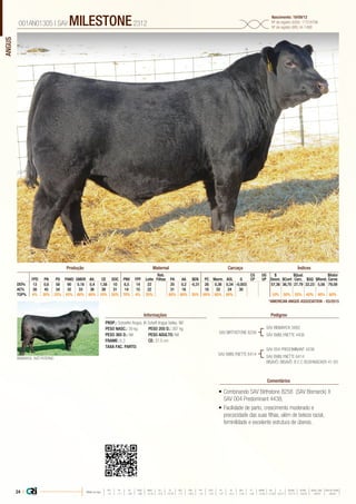 ANGUS
•	Combinando SAV Birthstone 8258 (SAV Bismarck) X
SAV 004 Predominant 4438;
•	Facilidade de parto, crescimento moderado e
precocidade das suas filhas, além de beleza racial,
feminilidade e excelente estrutura de úberes.
PROP.: Schaefer Angus, IA Schaff Angus Valley, ND
PESO NASC.: 39 kg	 PESO 205 D.: 397 kg
PESO 365 D.: NA 	 PESO ADULTO: NA
FRAME: 6,3 		 CE: 37,5 cm
TAXA FAC. PARTO:
SAV BIRTHSTONE 8258
SAV EMBLYNETTE 6414
SAV BISMARCK 5682
SAV EMBLYNETTE 4408
BISMARCK, AVÔ PATERNO
SAV 004 PREDOMINANT 4438
SAV EMBLYNETTE 6414
BISAVÔ: BISAVÔ: B C C BUSHWACKER 41-93
001AN01305 | SAV MILESTONE2312
Nascimento: 19/09/12
Nº de registro (USA): 17318796
Nº de registro (BR): IA-1498
Informações Pedigree
Comentários
Reb.
Filhas
CG
CP
UG
UP
$
Desm.
$Qual.
Carc.
$Valor
CarneFPD PN PD PANO GMDR Alt. CE DOC PNV FPF Leite PA AA $EN PC Marm. AOL G $Conf $GQ $Rend.
DEPs 13 0,6 58 90 0,16 0,4 1,56 10 6,5 14 22 20 0,2 -0,31 26 0,36 0,34 -0,003 57,36 36,70 27,79 22,23 5,56 79,59
AC% 38 45 34 32 33 36 39 31 14 15 22 31 18 18 32 24 30
TOP% 4% 30% 25% 45% 60% 60% 10% 55% 70% 4% 55% 65% 60% 35% 60% 65% 60% 10% 50% 55% 60% 40% 60%
Produção Maternal Carcaça Índices
*AMERICAN ANGUS ASSOCIATION - 03/2015
24 | Média da raça
FPD PN PD PANO GMDR ALT CE DOC PNV FPF LEITE PA AA $EN PC MARM AOL G $DESM $CONF $QUAL CARC $VALOR CARNE
 +5  +1.7  +49  +86  +0.18  +0.5  +0.79  +11  +8.9  +9  +23  +27  +0.3  -5.40  +29  +0.45  +0.39  +0.011  +37.74  +35.54  +28.07  +80.81
 
