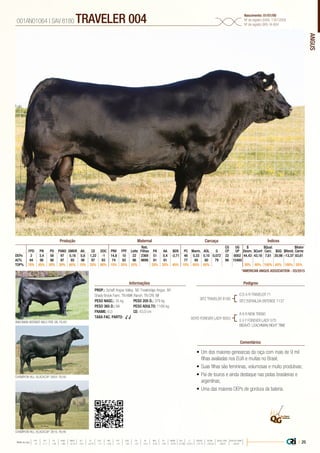 ANGUS
•	Um dos maiores genearcas da raça com mais de 9 mil
filhas avaliadas nos EUA e muitas no Brasil;
•	Suas filhas são femininas, volumosas e muito produtivas;
•	Pai de touros e ainda destaque nas pistas brasileiras e
argentinas;
•	Uma das maiores DEPs de gordura da bateria.
PROP.: Schaff Angus Valley. ND Trowbridge Angus. NY
Shady Brook Farm. TN KMK Ranch. TN CRI. WI
PESO NASC.: 35 kg	 PESO 205 D.: 379 kg
PESO 365 D.: NA 	 PESO ADULTO: 1166 kg
FRAME: 6,0 		 CE: 43,0 cm
TAXA FAC. PARTO: √ √
SITZ TRAVELER 8180
BOYD FOREVER LADY 8003
G D A R TRAVELER 71
SITZ EVERALDA ENTENSE 1137
CHAMPION HILL BLACKCAP 3804, FILHA
ANKONIAN WERNER WILD FIRE 96, FILHO
CHAMPION HILL BLACKCAP 3816, FILHA
A A R NEW TREND
S V F FOREVER LADY 57D
BISAVÔ: LEACHMAN RIGHT TIME
001AN01064 | SAV 8180 TRAVELER 004 Nascimento: 01/01/00
Nº de registro (USA): 13512009
Nº de registro (BR): IA-804
Informações Pedigree
Comentários
Reb.
Filhas
CG
CP
UG
UP
$
Desm.
$Qual.
Carc.
$Valor
CarneFPD PN PD PANO GMDR Alt. CE DOC PNV FPF Leite PA AA $EN PC Marm. AOL G $Conf $GQ $Rend.
DEPs 2 3,4 56 97 0,16 0,8 1,22 -1 14,8 10 22 2369 51 0,4 -2,71 48 0,33 0,10 0,072 22 6002 44,43 43,16 7,61 20,98 -13,37 83,61
AC% 94 98 98 97 85 96 97 93 74 93 96 9699 91 91 77 49 80 79 98 15480
TOP% 70% 85% 30% 30% 60% 15% 25% 90% 15% 35% 55% 20% 35% 40% 10% 65% 85% 30% 40% 100% 65% 100% 55%
Produção Maternal Carcaça Índices
*AMERICAN ANGUS ASSOCIATION - 03/2015
| 25Média da raça
FPD PN PD PANO GMDR ALT CE DOC PNV FPF LEITE PA AA $EN PC MARM AOL G $DESM $CONF $QUAL CARC $VALOR CARNE
 +5  +1.7  +49  +86  +0.18  +0.5  +0.79  +11  +8.9  +9  +23  +27  +0.3  -5.40  +29  +0.45  +0.39  +0.011  +37.74  +35.54  +28.07  +80.81
 