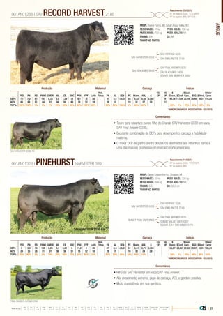 ANGUS
•	Touro para rebanhos puros, filho do Grande SAV Harvestor 0338 em vaca
SAV Final Answer 0035;
•	Excelente combinação de DEPs para desempenho, carcaça e habilidade
materna;
•	O maior DEP de ganho dentro dos touros destinados aos rebanhos puros e
uma das maiores promessas do mercado norte americano.
PROP.: Tanner Farms, MS Schaff Angus Valley, ND
PESO NASC.: 41 kg	 PESO 205 D.: 436 kg
PESO 365 D.: 733 kg 	 PESO ADULTO: NA
FRAME: 6,4 		 CE: NA
TAXA FAC. PARTO:
SAV HARVESTOR 0338
SAV BLACKBIRD 9289
SAV HERITAGE 6295
SAV EMBLYNETTE 7749
SAV FINAL ANSWER 0035
SAV BLACKBIRD 7459
BISAVÔ: SAV BISMARCK 5682
001AN01288 | SAV RECORD HARVEST2186
Nascimento: 28/02/12
Nº de registro (USA): 17318943
Nº de registro (BR): IA-1426
Comentários
Reb.
Filhas
CG
CP
UG
UP
$
Desm.
$Qual.
Carc.
$Valor
CarneFPD PN PD PANO GMDR Alt. CE DOC PNV FPF Leite PA AA $EN PC Marm. AOL G $Conf $GQ $Rend.
DEPs -17 7,2 81 147 0,33 0,9 1,29 12 8,1 -3 28 41 0,4 -35,31 55 0,52 0,50 0,062 9 46,39 117,04 22,16 28,40 -6,24 118,85
AC% 45 64 51 44 31 48 50 43 14 12 19 29 15 19 31 27 30 11
TOP% 100% 100% 1% 1% 1% 10% 20% 50% 60% 100% 20% 30% 35% 100% 5% 40% 40% 25% 1% 70% 35% 100% 5%
Produção Maternal Carcaça Índices
*AMERICAN ANGUS ASSOCIATION - 03/2015
•	Filho de SAV Harvestor em vaca SAV Final Answer;
•	Alia crescimento extremo, peso de carcaça, AOL e gordura positiva;
•	Muita consistência em sua genética.
PROP.: Genex Cooperative Inc, Shawano WI
PESO NASC.: 33 kg	 PESO 205 D.: 328 kg
PESO 365 D.: 604 kg 	 PESO ADULTO: NA
FRAME: 6,5 		 CE: 38,0 cm
TAXA FAC. PARTO:
SAV HARVESTOR 0338
SUNSET FRVR LADY 8N03
SAV HERITAGE 6295
SAV EMBLYNETTE 7749
SAV FINAL ANSWER 0035
SUNSET VALLEY LADY 4307
BISAVÔ: S A F 598 BANDO 5175
001AN01328 | PINEHURSTHARVESTER 389
Nascimento: 11/02/13
Nº de registro (USA): 17727970
Nº de registro (BR):
Comentários
Reb.
Filhas
CG
CP
UG
UP
$
Desm.
$Qual.
Carc.
$Valor
CarneFPD PN PD PANO GMDR Alt. CE DOC PNV FPF Leite PA AA $EN PC Marm. AOL G $Conf $GQ $Rend.
DEPs 0 3,9 70 128 0,25 0,7 0,61 6 11,2 4 30 27 0,3 -26,81 51 0,51 0,71 0,084 56,07 88,02 22,58 28,07 -5,49 108,24
AC% 28 35 28 31 31 36 38 31 15 12 18 28 15 16 30 24 29
TOP% 85% 90% 3% 2% 10% 25% 65% 75% 35% 90% 10% 55% 50% 95% 10% 40% 15% 10% 1% 70% 40% 95% 15%
Produção Maternal Carcaça Índices
*AMERICAN ANGUS ASSOCIATION - 03/2015
FINAL ANSWER, AVÔ MATERNO
SAV HARVESTOR 0338, PAI
SAV HARVESTOR 0338, PAI
| 27Média da raça
FPD PN PD PANO GMDR ALT CE DOC PNV FPF LEITE PA AA $EN PC MARM AOL G $DESM $CONF $QUAL CARC $VALOR CARNE
 +5  +1.7  +49  +86  +0.18  +0.5  +0.79  +11  +8.9  +9  +23  +27  +0.3  -5.40  +29  +0.45  +0.39  +0.011  +37.74  +35.54  +28.07  +80.81
 