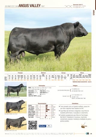 ANGUS
•	Touro provado como um grande novilheiro, possui em
sua mãe a segunda maior doadora da SAV;
•	Suas filhas são femininas e elegantes e seus fihos de
excelente performance, musculatura e crescimento;
•	Excelente acasalamento para filhas de Final Answer,
Net Worth, Predestined e Consensus, imprimindo
comprimento corporal e mantendo a facilidade de parto e
gordura positiva.
PROP.: Ridge View Ranch. IL Pender Bros. FL David
Cox. IL Schaff Angus Valley. ND Genex. WI
PESO NASC.: 38 kg	 PESO 205 D.: 434 kg
PESO 365 D.: 657 kg 	 PESO ADULTO: NA
FRAME: 6,0 		 CE: 40,8 cm
TAXA FAC. PARTO: √ √ √ √
SAV IRON MOUNTAIN 8066
SAV MAY 2397
TC GRIDIRON 258
SAV MADAME PRIDE 3249
SAV ANGUS LEGEND 3700, FILHO
CHAMPION HILL GEORGINA 8353, FILHA
SAV ANGUS ACRES 3205, FILHO
S A F 598 BANDO 5175
SAV MAY 7238
BISAVÔ: LEACHMAN RIGHT TIME
001AN01237 | SAV ANGUS VALLEY1867
Nascimento: 05/01/11
Nº de registro (USA): 17016630
Nº de registro (BR): IA-1372
Informações Pedigree
ComentáriosRecomendações
Reb.
Filhas
CG
CP
UG
UP
$
Desm.
$Qual.
Carc.
$Valor
CarneFPD PN PD PANO GMDR Alt. CE DOC PNV FPF Leite PA AA $EN PC Marm. AOL G $Conf $GQ $Rend.
DEPs 15 0,9 57 104 0,08 0,5 1,11 25 16,6 13 22 81 1,1 -16,26 49 0,67 0,52 0,074 168 39,51 45,68 26,94 33,28 -6,34 97,16
AC% 74 92 88 81 47 74 84 80 22 24 30 44 27 34 47 41 39 601
TOP% 2% 35% 25% 20% 95% 45% 30% 10% 10% 10% 55% 3% 1% 75% 5% 20% 35% 45% 35% 55% 20% 100% 30%
Produção Maternal Carcaça Índices
*AMERICAN ANGUS ASSOCIATION - 03/2015
Estatura Baixo Alto
Prof. corporal Raso Profundo
Larg. corporal Estreita Larga
Feminilidade Musculosa Angulosa
Expre. muscular Fraca Forte
Pernas v. lateral Retas Curvas
Ângulo de casco Raso Fincado
Est. de úbere Fraco Forte
Tam. de teto Pequenos Grandes
-3 -1-2 0 1 2 3
94
77% Conf.
| 29Média da raça
FPD PN PD PANO GMDR ALT CE DOC PNV FPF LEITE PA AA $EN PC MARM AOL G $DESM $CONF $QUAL CARC $VALOR CARNE
 +5  +1.7  +49  +86  +0.18  +0.5  +0.79  +11  +8.9  +9  +23  +27  +0.3  -5.40  +29  +0.45  +0.39  +0.011  +37.74  +35.54  +28.07  +80.81
 