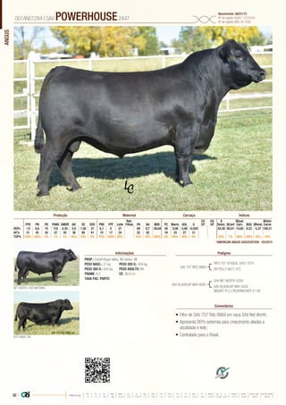 ANGUS
•	Filho de SAV 707 Rito 9969 em vaca SAV Net Worth;
•	Apresenta DEPs extremas para crescimento aliadas a
docilidade e leite;
•	Contratado para o Brasil.
PROP.: Schaff Angus Valley, ND Genex, WI
PESO NASC.: 31 kg	 PESO 205 D.: 454 kg
PESO 365 D.: 640 kg 	 PESO ADULTO: NA
FRAME: 6,0 		 CE: 38,9 cm
TAXA FAC. PARTO:
SAV 707 RITO 9969
SAV BLACKCAP MAY 8056
RITO 707 OF IDEAL 3407 7075
BR POLLY 8077-472
RITO 9969, PAI
NET WORTH, AVÔ MATERNO
SAV NET WORTH 4200
SAV BLACKCAP MAY 5530
BISAVÔ: B C C BUSHWACKER 41-93
001AN01284 | SAV POWERHOUSE2447
Nascimento: 06/01/12
Nº de registro (USA): 17310161
Nº de registro (BR): IA-1530
Informações Pedigree
Comentários
Reb.
Filhas
CG
CP
UG
UP
$
Desm.
$Qual.
Carc.
$Valor
CarneFPD PN PD PANO GMDR Alt. CE DOC PNV FPF Leite PA AA $EN PC Marm. AOL G $Conf $GQ $Rend.
DEPs -13 6,6 75 133 0,35 0,5 1,58 31 6,1 0 27 69 0,7 -30,84 58 0,08 0,48 -0,042 42,59 95,01 14,60 9,23 5,37 109,21
AC% 31 45 35 37 35 36 48 41 15 17 24 32 20 19 33 27 31
TOP% 100% 100% 2% 1% 1% 45% 10% 2% 75% 100% 25% 10% 10% 100% 3% 95% 40% 3% 35% 1% 90% 100% 45% 15%
Produção Maternal Carcaça Índices
*AMERICAN ANGUS ASSOCIATION - 03/2015
32 | Média da raça
FPD PN PD PANO GMDR ALT CE DOC PNV FPF LEITE PA AA $EN PC MARM AOL G $DESM $CONF $QUAL CARC $VALOR CARNE
 +5  +1.7  +49  +86  +0.18  +0.5  +0.79  +11  +8.9  +9  +23  +27  +0.3  -5.40  +29  +0.45  +0.39  +0.011  +37.74  +35.54  +28.07  +80.81
 