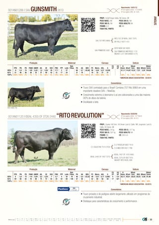ANGUS
RITO 9969, PAI
•	Touro SAV contratado para o Brasil! Combina 707 Rito 9969 em uma
importante doadora SAV – NewDay;
•	Crescimento extremo à desmama e ao ano adicionados a uma das maiores
DEPs de altura da bateria;
•	Docilidade e leite.
PROP.: Schaff Angus Valley, ND Genex, WI
PESO NASC.: NA	 PESO 205 D.: NA
PESO 365 D.: NA 	 PESO ADULTO: NA
FRAME: 6,4 		 CE: NA
TAXA FAC. PARTO:
SAV 707 RITO 9969
SAV PRIMROSE 4281
RITO 707 OF IDEAL 3407 7075
BR POLLY 8077-472
BOYD NEW DAY 8005
SAV PRIMROSE MISTRESS 1170
BISAVÔ: S A F 598 BANDO 5175
001AN01286 | SAV GUNSMITH2810
Nascimento: 10/01/12
Nº de registro (USA): 17318949
Nº de registro (BR): IA-1425
Comentários
Reb.
Filhas
CG
CP
UG
UP
$
Desm.
$Qual.
Carc.
$Valor
CarneFPD PN PD PANO GMDR Alt. CE DOC PNV FPF Leite PA AA $EN PC Marm. AOL G $Conf $GQ $Rend.
DEPs -8 5,5 74 145 0,42 1,0 0,26 29 17,1 2 27 66 0,7 -35,08 56 0,04 0,31 -0,038 41,11 114,87 10,52 7,22 3,30 104,69
AC% 31 46 36 38 35 37 49 42 15 17 24 31 19 19 33 27 31
TOP% 100% 100% 2% 1% 1% 5% 85% 3% 10% 95% 25% 10% 10% 100% 4% 100% 60% 5% 40% 1% 95% 100% 60% 20%
Produção Maternal Carcaça Índices
*AMERICAN ANGUS ASSOCIATION - 03/2015
•	Touro provado e de pedigree aberto largamente utilizado em programas de
cruzamento industrial;
•	Destaque para características de crescimento e performance.
PROP.: Quaker Hill Farm. VA Brown Land & Cattle. MO Jorgenson Land &
Cattle. SD Genex. WI
PESO NASC.: 34 kg	 PESO 205 D.: 317 kg
PESO 365 D.: 597 kg 	 PESO ADULTO: NA
FRAME: NA 		 CE: 36,8 cm
TAXA FAC. PARTO:
S S OBJECTIVE T510 0T26
IDEAL 2440 OF 7407 7275
S S TRAVELER 6807 T510
S S MISS RITA R011 7R8
IDEAL 7407 OF 1418 4465
IDEAL 7275 OF 809 1470
BISAVÔ: RITO EXCEL 809
001AN01120 | IDEAL 4355 OF 0T26 2440 “RITOREVOLUTION” Nascimento: 03/02/04
Nº de registro (USA): 14779044
Nº de registro (BR): IA-912
Comentários
Reb.
Filhas
CG
CP
UG
UP
$
Desm.
$Qual.
Carc.
$Valor
CarneFPD PN PD PANO GMDR Alt. CE DOC PNV FPF Leite PA AA $EN PC Marm. AOL G $Conf $GQ $Rend.
DEPs 0 3,4 73 110 0,04 0,5 0,29 -7 5,7 4 30 78 46 0,4 -22,52 48 0,57 0,17 0,006 4 131 63,17 40,61 28,03 30,03 -2,00 91,98
AC% 69 88 82 78 66 75 72 55 24 54 69 146 57 56 52 60 58 58 17 321
TOP% 85% 90% 2% 10% 100% 45% 85% 100% 75% 90% 10% 25% 35% 90% 10% 30% 80% 3% 40% 55% 30% 90% 40%
Produção Maternal Carcaça Índices
*AMERICAN ANGUS ASSOCIATION - 03/2015
101
71% Conf.
| 33Média da raça
FPD PN PD PANO GMDR ALT CE DOC PNV FPF LEITE PA AA $EN PC MARM AOL G $DESM $CONF $QUAL CARC $VALOR CARNE
 +5  +1.7  +49  +86  +0.18  +0.5  +0.79  +11  +8.9  +9  +23  +27  +0.3  -5.40  +29  +0.45  +0.39  +0.011  +37.74  +35.54  +28.07  +80.81
 