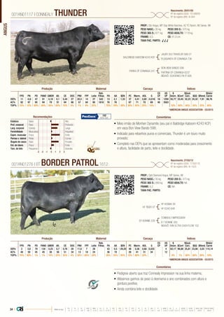 ANGUS
•	Meio irmão de Monhen Dynamite (seu pai é Baldridge Kaboom K243 KCF)
em vaca Bon View Bando 598;
•	Indicado para rebanhos puros e comerciais, Thunder é um touro muito
provado;
•	Completo nas DEPs que se apresentam como moderadas para crescimento
e altura, facilidade de parto, leite e docilidade.
PROP.: Sitz Angus, MT Clay White Ranches, AZ TC Ranch, NE Genex, WI
PESO NASC.: 35 kg	 PESO 205 D.: 370 kg
PESO 365 D.: 671 kg 	 PESO ADULTO: 1118 kg
FRAME: 6,5 		 CE: 41,0 cm
TAXA FAC. PARTO: √ √ √
BALDRIDGE KABOOM K243 KCF
PARKA OF CONANGA 241
JAUER 353 TRAVELER 589 27
PLEASANTA OF CONANGA 736
BON VIEW BANDO 598
PARTINA OF CONANGA 6237
BISAVÔ: SCHOENES FIX IT 826
001AN01117 | CONNEALY THUNDER Nascimento: 28/01/05
Nº de registro (USA): 15148659
Nº de registro (BR): IA-944
ComentáriosRecomendações
Reb.
Filhas
CG
CP
UG
UP
$
Desm.
$Qual.
Carc.
$Valor
CarneFPD PN PD PANO GMDR Alt. CE DOC PNV FPF Leite PA AA $EN PC Marm. AOL G $Conf $GQ $Rend.
DEPs 11 -0,6 47 91 0,18 0,1 0,44 27 20,5 14 27 543 13 0,1 1,33 37 0,41 0,60 -0,016 16 1294 55,77 33,45 32,23 24,32 7,91 88,76
AC% 92 97 95 94 79 91 94 86 57 84 90 1818 76 76 67 71 70 69 46 3583
TOP% 10% 15% 60% 45% 45% 85% 75% 5% 1% 4% 25% 75% 70% 30% 30% 55% 25% 15% 10% 60% 40% 55% 25% 45%
Produção Maternal Carcaça Índices
*AMERICAN ANGUS ASSOCIATION - 03/2015
Estatura Baixo Alto
Prof. corporal Raso Profundo
Larg. corporal Estreita Larga
Feminilidade Musculosa Angulosa
Expre. muscular Fraca Forte
Pernas v. lateral Retas Curvas
Ângulo de casco Raso Fincado
Est. de úbere Fraco Forte
Tam. de teto Pequenos Grandes
-3 -1-2 0 1 2 3
102
92% Conf.
•	Pedigree aberto que traz Connealy Impression na sua linha materna;
•	Altíssimos ganhos de peso à desmama e ano combinados com altura e
gordura positiva;
•	Ainda combina leite e docilidade.
PROP.: Split Diamond Angus, MT Genex, WI
PESO NASC.: 35 kg	 PESO 205 D.: 373 kg
PESO 365 D.: 669 kg 	 PESO ADULTO: NA
FRAME: 6,2 		 CE: NA
TAXA FAC. PARTO:
HF TIGER 5T
BT BONNIE 228
HF KODIAK 5R
HF ECHO 84R
CONNEALY IMPRESSION
B T BONNIE 265
BISAVÔ: R/M ULTRA CASH FLOW 102
001AN01276 | BT BORDER PATROL1612
Nascimento: 27/02/12
Nº de registro (USA): 17350176
Nº de registro (BR): IA-1423
Comentários
Reb.
Filhas
CG
CP
UG
UP
$
Desm.
$Qual.
Carc.
$Valor
CarneFPD PN PD PANO GMDR Alt. CE DOC PNV FPF Leite PA AA $EN PC Marm. AOL G $Conf $GQ $Rend.
DEPs 2 3,8 79 134 0,25 0,7 0,76 28 11,6 7 28 43 0,5 -29,20 48 0,38 0,68 0,025 4 62,17 96,88 25,81 23,06 3,03 114,14
AC% 48 59 45 45 38 56 51 34 13 18 24 36 19 28 41 31 34 12
TOP% 70% 90% 1% 1% 10% 25% 55% 4% 30% 65% 20% 30% 25% 95% 10% 60% 20% 4% 1% 60% 60% 60% 10%
Produção Maternal Carcaça Índices
*AMERICAN ANGUS ASSOCIATION - 03/2015
34 | Média da raça
FPD PN PD PANO GMDR ALT CE DOC PNV FPF LEITE PA AA $EN PC MARM AOL G $DESM $CONF $QUAL CARC $VALOR CARNE
 +5  +1.7  +49  +86  +0.18  +0.5  +0.79  +11  +8.9  +9  +23  +27  +0.3  -5.40  +29  +0.45  +0.39  +0.011  +37.74  +35.54  +28.07  +80.81
 