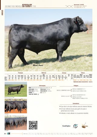 ANGUS
•	Sua mãe é uma das melhores vacas do rebanho Nichols;
•	Um dos melhores touros para ganho de peso e
performance do mundo;
•	Indicado e muito utilizado no cruzamento industrial.
PROP.: Nichols Farms. IA Crawford and Crawford. Inc.. IA
PESO NASC.: 36 kg	 PESO 205 D.: 340 kg
PESO 365 D.: 700 kg 	 PESO ADULTO: 1005 kg
FRAME: 6,6 		 CE: 38,0 cm
TAXA FAC. PARTO: √
NICHOLS COMMITMENT M380
NICHOLS LULA N77
NICHOLS COMMITMENT K111
NICHOLS BLACK HEIRESS H295
PROGÊNIE
NICHOLS LULA N77, MÃE
PROGÊNIE
NICHOLS BUSHWACKER K161
NICHOLS LULA K387
BISAVÔ: NICHOLS FORMULA H109
001AN01169 | NICHOLS STOUTT152
Nascimento: 31/03/06
Nº de registro (USA): 15922672
Nº de registro (BR): IA-1191
Informações Pedigree
Comentários
Reb.
Filhas
CG
CP
UG
UP
$
Desm.
$Qual.
Carc.
$Valor
CarneFPD PN PD PANO GMDR Alt. CE DOC PNV FPF Leite PA AA $EN PC Marm. AOL G $Conf $GQ $Rend.
DEPs -23 6,5 63 131 0,38 0,8 -0,48 8 4,2 -9 14 20 48 0,5 -11,04 58 0,00 0,22 0,012 20 16,74 102,09 0,77 5,00 -4,23 98,85
AC% 56 81 72 66 30 69 29 69 24 38 51 54 29 13 23 36 31 32 66
TOP% 100% 100% 10% 1% 1% 15% 100% 65% 85% 100% 95% 25% 25% 65% 3% 100% 75% 100% 1% 100% 100% 95% 25%
Produção Maternal Carcaça Índices
*AMERICAN ANGUS ASSOCIATION - 03/2015
38 | Média da raça
FPD PN PD PANO GMDR ALT CE DOC PNV FPF LEITE PA AA $EN PC MARM AOL G $DESM $CONF $QUAL CARC $VALOR CARNE
 +5  +1.7  +49  +86  +0.18  +0.5  +0.79  +11  +8.9  +9  +23  +27  +0.3  -5.40  +29  +0.45  +0.39  +0.011  +37.74  +35.54  +28.07  +80.81
 