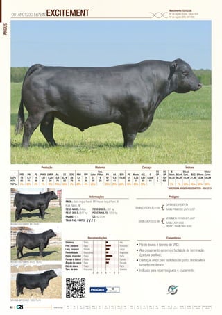 ANGUS
•	Pai de touros é bisneto de VRD;
•	Alia crescimento extremo e facilidade de terminação
(gordura positiva);
•	Destaque ainda para facilidade de parto, docilidade e
tamanho moderado;
•	Indicado para rebanhos puros e cruzamento.
PROP.: Basin Angus Ranch. MT Hoover Angus Farm. IA
Kuck Ranch. NE
PESO NASC.: 34 kg	 PESO 205 D.: 391 kg
PESO 365 D.: 617 kg 	 PESO ADULTO: 1059 kg
FRAME: 5,7 		 CE: 42,0 cm
TAXA FAC. PARTO: √ √ √ √
BASIN EXPEDITION R156
BASIN LADY S532 AK
GARDENS EXPEDITION
BASIN PRIMROSE LADY 5287
HOOVER EXCITEMENT M123, FILHO
HOOVER EXCITEMENT M7, FILHO
MOHNEN IMPRESSIVE 1093, FILHO
VERMILION PAYWEIGHT J847
BASIN LADY 306E
BISAVÔ: BASIN MAX 806C
001AN01230 | BASIN EXCITEMENT Nascimento: 03/02/08
Nº de registro (USA): 16047404
Nº de registro (BR): IA-1356
Informações Pedigree
ComentáriosRecomendações
Reb.
Filhas
CG
CP
UG
UP
$
Desm.
$Qual.
Carc.
$Valor
CarneFPD PN PD PANO GMDR Alt. CE DOC PNV FPF Leite PA AA $EN PC Marm. AOL G $Conf $GQ $Rend.
DEPs 13 0,1 74 130 0,25 0,3 0,74 28 5,4 14 21 9 47 0,5 -19,00 51 0,35 0,67 0,059 5 124 59,70 89,29 19,54 21,90 -2,36 105,84
AC% 80 91 86 81 39 79 82 79 41 30 39 25 47 41 40 51 45 44 5 435
TOP% 4% 20% 2% 1% 10% 70% 55% 4% 80% 4% 65% 25% 25% 85% 10% 65% 20% 5% 1% 80% 65% 65% 20%
Produção Maternal Carcaça Índices
*AMERICAN ANGUS ASSOCIATION - 03/2015
Estatura Baixo Alto
Prof. corporal Raso Profundo
Larg. corporal Estreita Larga
Feminilidade Musculosa Angulosa
Expre. muscular Fraca Forte
Pernas v. lateral Retas Curvas
Ângulo de casco Raso Fincado
Est. de úbere Fraco Forte
Tam. de teto Pequenos Grandes
-3 -1-2 0 1 2 3
98
79% Conf.
40 | Média da raça
FPD PN PD PANO GMDR ALT CE DOC PNV FPF LEITE PA AA $EN PC MARM AOL G $DESM $CONF $QUAL CARC $VALOR CARNE
 +5  +1.7  +49  +86  +0.18  +0.5  +0.79  +11  +8.9  +9  +23  +27  +0.3  -5.40  +29  +0.45  +0.39  +0.011  +37.74  +35.54  +28.07  +80.81
 