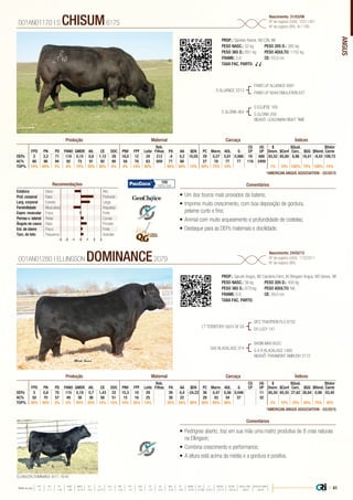 ANGUS
•	Um dos touros mais provados da bateria;
•	Imprime muito crescimento, com boa deposição de gordura,
pelame curto e fino;
•	Animal com muito arqueamento e profundidade de costelas;
•	Destaque para as DEPs maternais e docilidade.
PROP.: Spickler Ranck. ND CRI. WI
PESO NASC.: 32 kg	 PESO 205 D.: 380 kg
PESO 365 D.: 651 kg 	 PESO ADULTO: 1152 kg
FRAME: 5,6 		 CE: 43,0 cm
TAXA FAC. PARTO: √ √
S ALLIANCE 3313
S GLORIA 464
PAWS UP ALLIANCE 9561
PAWS UP 9048 EMULATION EXT
S ECLIPSE 169
S GLORIA 209
BISAVÔ: LEACHMAN RIGHT TIME
001AN01170 | S CHISUM6175
Nascimento: 31/03/06
Nº de registro (USA): 15511451
Nº de registro (BR): IA-1189
ComentáriosRecomendações
Reb.
Filhas
CG
CP
UG
UP
$
Desm.
$Qual.
Carc.
$Valor
CarneFPD PN PD PANO GMDR Alt. CE DOC PNV FPF Leite PA AA $EN PC Marm. AOL G $Conf $GQ $Rend.
DEPs 2 3,2 71 119 0,15 0,6 1,12 28 18,0 12 24 212 -4 0,2 10,05 29 0,27 0,81 0,066 19 666 83,52 65,80 8,98 18,41 -9,43 109,73
AC% 86 96 94 92 75 91 92 90 58 78 83 809 71 66 27 78 77 77 118 2409
TOP% 70% 80% 3% 4% 70% 35% 30% 4% 4% 15% 40% 90% 60% 15% 50% 75% 10% 1% 10% 100% 75% 100% 15%
Produção Maternal Carcaça Índices
*AMERICAN ANGUS ASSOCIATION - 03/2015
Estatura Baixo Alto
Prof. corporal Raso Profundo
Larg. corporal Estreita Larga
Feminilidade Musculosa Angulosa
Expre. muscular Fraca Forte
Pernas v. lateral Retas Curvas
Ângulo de casco Raso Fincado
Est. de úbere Fraco Forte
Tam. de teto Pequenos Grandes
-3 -1-2 0 1 2 3
100
100% Conf.
•	Pedrigree aberto, traz em sua mãe uma matriz produtiva de 8 crias naturais
na Ellingson;
•	Combina crescimento e performance;
•	A altura está acima da média e a gordura é positiva.
PROP.: Sprunk Angus, ND Carstens Farm, IA Ellingson Angus, ND Genex, WI
PESO NASC.: 36 kg	 PESO 205 D.: 405 kg
PESO 365 D.: 679 kg 	 PESO ADULTO: NA
FRAME: 6,6 		 CE: 39,0 cm
TAXA FAC. PARTO:
LT TERRITORY 5824 OF EA
SAV BLACKLASS 374
SITZ TRADITION RLS 8702
EA LUCY 141
BASIN MAX 602C
G A R BLACKLASS 1485
BISAVÔ: PARAMONT AMBUSH 2172
001AN01280 | ELLINGSON DOMINANCE2079
Nascimento: 24/02/12
Nº de registro (USA): 17322011
Nº de registro (BR):
Comentários
Reb.
Filhas
CG
CP
UG
UP
$
Desm.
$Qual.
Carc.
$Valor
CarneFPD PN PD PANO GMDR Alt. CE DOC PNV FPF Leite PA AA $EN PC Marm. AOL G $Conf $GQ $Rend.
DEPs 5 0,8 70 115 0,18 0,7 1,43 22 15,3 10 29 39 0,4 -24,22 36 0,47 0,56 0,046 11 65,50 65,55 27,62 26,64 0,98 93,40
AC% 50 70 57 49 36 36 56 51 15 16 25 38 22 29 43 34 37 32
TOP% 50% 30% 3% 5% 45% 25% 15% 15% 10% 35% 15% 35% 35% 90% 30% 45% 30% 2% 10% 70% 45% 75% 35%
Produção Maternal Carcaça Índices
*AMERICAN ANGUS ASSOCIATION - 03/2015
ELLINGSON DOMINANCE 4017, FILHO
| 41Média da raça
FPD PN PD PANO GMDR ALT CE DOC PNV FPF LEITE PA AA $EN PC MARM AOL G $DESM $CONF $QUAL CARC $VALOR CARNE
 +5  +1.7  +49  +86  +0.18  +0.5  +0.79  +11  +8.9  +9  +23  +27  +0.3  -5.40  +29  +0.45  +0.39  +0.011  +37.74  +35.54  +28.07  +80.81
 
