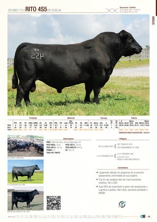 ANGUS
•	Largamente utilizado em programas de cruzamento
apresentando uniformidade de sua progênie;
•	Traz em seu pedigree dois dos mais importantes
criatórios: Sitz e GAR;
•	Suas DEPs de crescimento e ganho são excepcionais e
a gordura é positiva. Além disso, apresenta docilidade e
MARM.
PROP.: Wehrman Angus. VA Pine Ridge Angus. GA
PESO NASC.: 38 kg	 PESO 205 D.: 292 kg
PESO 365 D.: 587 kg 	 PESO ADULTO: 946 kg
FRAME: 6,6 		 CE: 38,2 cm
TAXA FAC. PARTO:
SITZ ALLIANCE 6595
G A R PRECISION 2536
SITZ TRAVELER 8180
SITZ BARBARAMERE JET 2698
G A R PRECISION 2536, MÃE
CRUZAMENTO INDUSTRIAL
MURCIELAGO EVERELDA 795, FILHA
G A R PRECISION 1680
G A R EXT 2104
BISAVÔ: N BAR EMULATION EXT
001AN01115 | RITO 4S5OF 2536 SA
Nascimento: 10/09/04
Nº de registro (USA): 14768733
Nº de registro (BR): IA-1043
Informações Pedigree
Comentários
Reb.
Filhas
CG
CP
UG
UP
$
Desm.
$Qual.
Carc.
$Valor
CarneFPD PN PD PANO GMDR Alt. CE DOC PNV FPF Leite PA AA $EN PC Marm. AOL G $Conf $GQ $Rend.
DEPs -8 4,5 68 122 0,28 0,9 0,80 25 -10,1 2 22 38 6 0,0 -11,08 49 0,74 0,21 0,038 1 92 49,34 82,89 29,25 35,15 -5,93 115,63
AC% 59 84 77 77 43 69 64 40 30 41 59 74 45 41 40 46 48 48 3 158
TOP% 100% 95% 5% 3% 5% 10% 50% 10% 100% 95% 55% 80% 80% 65% 10% 15% 75% 20% 2% 50% 15% 100% 10%
Produção Maternal Carcaça Índices
*AMERICAN ANGUS ASSOCIATION - 03/2015
| 43Média da raça
FPD PN PD PANO GMDR ALT CE DOC PNV FPF LEITE PA AA $EN PC MARM AOL G $DESM $CONF $QUAL CARC $VALOR CARNE
 +5  +1.7  +49  +86  +0.18  +0.5  +0.79  +11  +8.9  +9  +23  +27  +0.3  -5.40  +29  +0.45  +0.39  +0.011  +37.74  +35.54  +28.07  +80.81
 