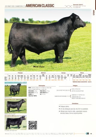 ANGUS
•	Pedigree aberto;
•	Um dos destaques para tipo dos EUA na atualidade;
•	Utilizado para imprimir estilo, capacidade corporal,
estrutura óssea e forma corporal perfeita.
PROP.: Dameron Angus, IL C-5 Angus, IL Prairie View
Angus, IL Schafer Stock Farm, IL Genex, WI
PESO NASC.: 34 kg	 PESO 205 D.: 371 kg
PESO 365 D.: 672 kg 	 PESO ADULTO: NA
FRAME: NA 		 CE: 41,5 cm
TAXA FAC. PARTO:
EXG RS FIRST RATE S903 R3
DAMERON NORTHERN MISS 3114
EXAR LUTTON 1831
RAFTER S BLACKCAP P909
DAMERON RUBY 459, FILHA
AMERICAN CLASSIC
TLF CLASSIC LADY 292B, FILHA
DAMERON P V F RAPTOR 702
DAMERON MISS 550
BISAVÔ: N BAR EMULATION EXT
001AN01306 | DAMERON C-5 AMERICANCLASSIC Nascimento: 05/04/12
Nº de registro (USA): 17471320
Nº de registro (BR):
Informações Pedigree
Comentários
Reb.
Filhas
CG
CP
UG
UP
$
Desm.
$Qual.
Carc.
$Valor
CarneFPD PN PD PANO GMDR Alt. CE DOC PNV FPF Leite PA AA $EN PC Marm. AOL G $Conf $GQ $Rend.
DEPs -5 4,2 55 97 0,27 0,9 0,35 5 4,8 7 36 45 0,6 -31,47 37 0,30 0,24 -0,004 41,91 55,80 22,10 19,71 2,39 97,01
AC% 44 59 46 32 31 34 39 28 12 14 22 29 15 17 30 23 29
TOP% 100% 95% 30% 30% 5% 10% 80% 75% 85% 65% 1% 25% 20% 100% 30% 70% 70% 40% 20% 75% 70% 65% 30%
Produção Maternal Carcaça Índices
*AMERICAN ANGUS ASSOCIATION - 03/2015
| 45Média da raça
FPD PN PD PANO GMDR ALT CE DOC PNV FPF LEITE PA AA $EN PC MARM AOL G $DESM $CONF $QUAL CARC $VALOR CARNE
 +5  +1.7  +49  +86  +0.18  +0.5  +0.79  +11  +8.9  +9  +23  +27  +0.3  -5.40  +29  +0.45  +0.39  +0.011  +37.74  +35.54  +28.07  +80.81
 