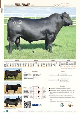 ANGUS
•	Linhagem GAR nas linhas materna e paterna;
•	Alia facilidade de parto, crescimento, docilidade e leite,
além de uma das maiores DEPs de MARM e AOL da
bateria;
•	Um dos touros mais bonitos e estilosos da bateria,
apresenta também uma estrutura impecável de pernas e
pés;
•	Indicado para rebanhos puros e cruzamento.
PROP.: Genex, WI
PESO NASC.: 35 kg	 PESO 205 D.: 373 kg
PESO 365 D.: 596 kg 	 PESO ADULTO: NA
FRAME: 5,6 		 CE: 39,1 cm
TAXA FAC. PARTO: √ √ √
PA POWER TOOL 9108
PINE VIEW SQR RITA W091
G A R PREDESTINED
SHAMROCKS BEEBEE QUEEN 3095
PINE VIEW SQR RITA W091, MÃE
PA BARBARA 914-B1433, FILHA
SCHIEFELBEIN THROTTLE 674, IRMÃO
G A R NEW DESIGN 5050
PINE VIEW RITA R084
BISAVÔ: S V F BANDOLIER
001AN01242 | PA FULL POWER1208
Nascimento: 14/02/11
Nº de registro (USA): 16981588
Nº de registro (BR): IA-1478
Informações Pedigree
ComentáriosRecomendações
Reb.
Filhas
CG
CP
UG
UP
$
Desm.
$Qual.
Carc.
$Valor
CarneFPD PN PD PANO GMDR Alt. CE DOC PNV FPF Leite PA AA $EN PC Marm. AOL G $Conf $GQ $Rend.
DEPs 10 0,3 65 115 0,15 0,4 1,20 34 12,3 11 50 17 0,5 -61,20 37 1,21 1,02 0,010 47 65,87 60,12 55,44 45,43 10,01 114,18
AC% 69 86 79 72 44 77 77 61 18 15 22 42 26 34 46 39 39 189
TOP% 15% 25% 10% 5% 70% 60% 25% 1% 25% 25% 1% 70% 25% 100% 30% 1% 2% 2% 15% 1% 1% 15% 10%
Produção Maternal Carcaça Índices
*AMERICAN ANGUS ASSOCIATION - 03/2015
Estatura Baixo Alto
Prof. corporal Raso Profundo
Larg. corporal Estreita Larga
Feminilidade Musculosa Angulosa
Expre. muscular Fraca Forte
Pernas v. lateral Retas Curvas
Ângulo de casco Raso Fincado
Est. de úbere Fraco Forte
Tam. de teto Pequenos Grandes
-3 -1-2 0 1 2 3
101
82% Conf.
46 | Média da raça
FPD PN PD PANO GMDR ALT CE DOC PNV FPF LEITE PA AA $EN PC MARM AOL G $DESM $CONF $QUAL CARC $VALOR CARNE
 +5  +1.7  +49  +86  +0.18  +0.5  +0.79  +11  +8.9  +9  +23  +27  +0.3  -5.40  +29  +0.45  +0.39  +0.011  +37.74  +35.54  +28.07  +80.81
 