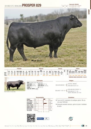 ANGUS
•	Touro de ACC moderada e de pedigree aberto, filho de
uma vaca Pathfinder;
•	Apresenta excelente estrutura, ganho de peso e facilidade
de parto.
PROP.: Viewlawn Angus, MN Genex, WI
PESO NASC.: 32 kg	 PESO 205 D.: 377 kg
PESO 365 D.: 646 kg 	 PESO ADULTO: 1092 kg
FRAME: 6,3 		 CE: 40,2 cm
TAXA FAC. PARTO: √ √ √
VIEWLAWN MAINLINE 17
VIEWLAWN 114 NF 1077
WOODHILL MAINLINE
VIEWLAWN 89 GAP 2122
NEW FRONTIER, AVÔ MATERNO
VIEWLAWN NEW FRONTIER 114
VIEWLAWN 822 TT 1184
BISAVÔ: VIEWLAWN 146 TT 822
001AN01275 | VIEWLAWN PROSPER 829 Nascimento: 09/04/09
Nº de registro (USA): 16490864
Nº de registro (BR): IA-1484
Informações Pedigree
ComentáriosRecomendações
Reb.
Filhas
CG
CP
UG
UP
$
Desm.
$Qual.
Carc.
$Valor
CarneFPD PN PD PANO GMDR Alt. CE DOC PNV FPF Leite PA AA $EN PC Marm. AOL G $Conf $GQ $Rend.
DEPs 16 -2,4 60 110 0,23 0,4 0,94 12 9,7 15 12 1 5 0,1 8,36 20 0,01 0,40 0,007 6 50,32 66,35 11,71 5,47 6,24 56,05
AC% 57 74 63 58 34 34 64 26 12 15 23 5 35 18 28 41 33 35 32
TOP% 1% 2% 20% 10% 20% 60% 40% 50% 45% 2% 95% 80% 70% 20% 75% 100% 50% 15% 10% 95% 100% 35% 90%
Produção Maternal Carcaça Índices
*AMERICAN ANGUS ASSOCIATION - 03/2015
Estatura Baixo Alto
Prof. corporal Raso Profundo
Larg. corporal Estreita Larga
Feminilidade Musculosa Angulosa
Expre. muscular Fraca Forte
Pernas v. lateral Retas Curvas
Ângulo de casco Raso Fincado
Est. de úbere Fraco Forte
Tam. de teto Pequenos Grandes
-3 -1-2 0 1 2 3
100
70% Conf.
| 47Média da raça
FPD PN PD PANO GMDR ALT CE DOC PNV FPF LEITE PA AA $EN PC MARM AOL G $DESM $CONF $QUAL CARC $VALOR CARNE
 +5  +1.7  +49  +86  +0.18  +0.5  +0.79  +11  +8.9  +9  +23  +27  +0.3  -5.40  +29  +0.45  +0.39  +0.011  +37.74  +35.54  +28.07  +80.81
 