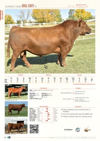 52 |
REDANGUS
Média da raça
FPD PN PD PANO FPF LEITE EM PNV LONG MARM RCARC PC AOL G
+5 -1,5 +57 +89 +5 +20 +1 +10 +10 +0,48 +0,03 +21 +0,12 0,00
•	Líder em facilidade de parto, provado também no
PROMEBO;
•	Touro com excelentes DEPs para leite, MARM e AOL;
•	Tamanho moderado e filhas com excelentes úberes.
PROP.: Ludvigson Stock Farm, IA Feddes Red Angus,
MT CRI, WI
PESO NASC.: 34 kg	 PESO 205 D.: 354 kg
PESO 365 D.: 624 kg 	 PESO ADULTO: 955 kg
FRAME: 5,7 		 CE: 39.0 cm
TAXA FAC. PARTO: √ √ √
BIEBER MAKE MIMI 7249
FEDDES LAKINA 310
BJR MAKE MY DAY 981
BIEBER SIRENA 6708
LSF DELLA P6062 T7100, FILHA
SLGNWONDERFUL915W, FILHA
LSF HORIZON 7080T, FILHO
LCHMN GRANDCANYON 1244G
FEDDES LAKINA 954
BISAVÔ: FED’S IMPRESSIVE 744
001AR00907 | FEDDES BIG SKYR9
Nascimento: 18/01/05
Nº de registro (USA): 1025891
Nº de registro (BR): IA-930
Informações Pedigree
ComentáriosRecomendações
EM GFPD PN PD PANO FPF Leite PNV Long. Marm RCarc PC AOL
DEPs 5 -4,5 60 82 -1 26 7 20 13 0,67 -0,16 11 0,42 -0,03
AC% 93 95 94 94 92 92 70 75 57 70 53 61 67 67
TOP% 50% 15% 45% 65% 90% 20% 80% 1% 15% 20% 3% 75% 10%
Produção Maternal Carcaça
*RED ANGUS ASSOCIATION OF AMERICA 03/2015
Estatura Baixo Alto
Prof. corporal Raso Profundo
Larg. corporal Estreita Larga
Feminilidade Musculosa Angulosa
Expre. muscular Fraca Forte
Pernas v. lateral Retas Curvas
Ângulo de casco Raso Fincado
Est. de úbere Fraco Forte
Tam. de teto Pequenos Grandes
-3 -1-2 0 1 2 3
 