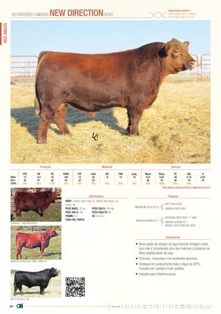 54 |
REDANGUS
Média da raça
FPD PN PD PANO FPF LEITE EM PNV LONG MARM RCARC PC AOL G
+5 -1,5 +57 +89 +5 +20 +1 +10 +10 +0,48 +0,03 +21 +0,12 0,00
•	Nova opção de sangue na raça trazendo linhagem preta.
Sua mãe é considerada uma das melhores produtoras de
filhas espetaculares da raça;
•	Profundo, musculoso e de excelentes aprumos;
•	Destaque em praticamente toda a régua de DEPs,
inclusive com gordura muito positiva;
•	Indicado para rebanhos puros.
PROP.: Andras Stock Farm, IL Osborn Red Angus, AL
Genex, WI
PESO NASC.: 33 kg	 PESO 205 D.: 345 kg
PESO 365 D.: NA 	 PESO ADULTO: NA
FRAME: 6,0 		 CE: 43.0 cm
TAXA FAC. PARTO:
ANDRAS IN FOCUS B152
ANDRAS KURUBA B111
MYTTY IN FOCUS
ANDRAS PINETA B91
ANDRAS KURUBA R253, IRMÃ COMPLETA
1AR00950 - NEW DIRECTION 2
MYTTY IN FOCUS, PAI
MORGANS DIRECTION 111 9901
ANDRAS KURUBA B71
BISAVÔ: BOYD NEW DAY 8005
001AR00950 | ANDRAS NEW DIRECTIONR240
Nascimento: 25/09/11
Nº de registro (USA): 1506922
Nº de registro (BR): IA-1503
Informações Pedigree
Comentários
EM GFPD PN PD PANO FPF Leite PNV Long. Marm RCarc PC AOL
DEPs 13 -0,5 75 126 12 30 -8 12 14 0,51 0,25 44 0,19 0,05
AC% 32 47 36 34 32 22 20 19 30 19 19
TOP% 10% 65% 15% 10% 10% 10% 10% 30% 10% 45% 100% 10% 40%
*RED ANGUS ASSOCIATION OF AMERICA 03/2015
Produção Maternal Carcaça
 