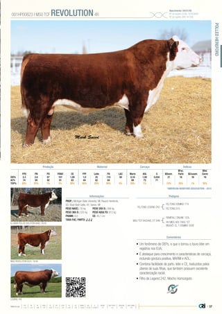 | 57
•	Um fenômeno de DEPs, o que o tornou o touro líder em
registros nos EUA;
•	É destaque para crescimento e características de carcaça,
incluindo gordura positiva, MARM e AOL;
•	Combina facilidade de parto, leite e CE, traduzidos pelos
úberes de suas filhas, que também possuem excelente
caracterização racial;
•	Filho de Legend 242, Mocho Homozigoto.
PROP.: Michigan State University, MI, Rausch Herefords,
SD, Boyd Beef Cattle, KY, Genex, WI
PESO NASC.: 35 kg	 PESO 205 D.: 268 kg
PESO 365 D.: 525 kg 	 PESO ADULTO: 912 kg
FRAME: 6,0 		 CE: 45,1 cm
TAXA FAC. PARTO: √ √ √
FELTONS LEGEND 242
MSU TCF RACHAEL ET 54N
FELTONS DOMINO 774
FELTONS G15
MISS REVOLUTION 002Y, FILHA
LEGEND, PAI
KJ 968R POLLED SOLUTION 668Z, FILHO
REMITALL ONLINE 122L
HH MISS ADV 786G 1ET
BISAVÔ: CL 1 DOMINO 500E
001HP00823 | MSU TCF REVOLUTION4R
Nascimento: 04/01/05
Nº de registro (USA): 42593689
Nº de registro (BR): IA-586
Informações Pedigree
Comentários
L&C G $Desm.
$Fac.
$Cruzam.
$Val.
FPD PN PD PANO CE FPF Leite PA Marm AOL Parto Carne
DEPs 3,3 2,6 67 107 1,00 1,0 25 110 58 0,16 1,00 0,034 21 16 35 16
AC% 74 94 92 91 83 64 82 84 69 73 71
TOP% 20% 25% 1% 5% 20% 55% 25% 95% 5% 20% 1% 15% 35% 1% 35%
Produção Maternal Carcaça Índices
*AMERICAN HEREFORD ASSOCIATION - 2015
POLLEDHEREFORD
Média da raça
FPD PN PD PANO CE FPF LEITE PA L&C MARM AOL G $DESM $FAC PARTO $CRUZAM $VAL CARNE
+1,0 +3,3 +48 +78 +0,8 +1,3 +21 +87 +45 +0,06 +0,30 +0,002 +17 +15 +23 +15
 