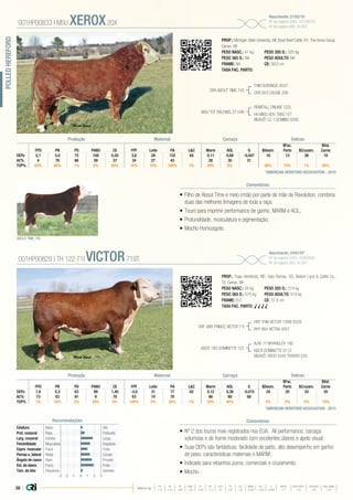 58 |
POLLEDHEREFORD
•	Filho de About Time e meio irmão por parte de mãe de Revolution, combina
duas das melhores linhagens de toda a raça;
•	Touro para imprimir performance de ganho, MARM e AOL;
•	Profundidade, musculatura e pigmentação;
•	Mocho Homozigoto.
PROP.: Michigan State University, MI, Boyd Beef Cattle, KY, The Xerox Group,
Genex, WI
PESO NASC.: 41 kg	 PESO 205 D.: 320 kg
PESO 365 D.: NA 	 PESO ADULTO: NA
FRAME: NA 		 CE: 38,0 cm
TAXA FAC. PARTO:
CRR ABOUT TIME 743
MSU TCF RACHAEL ET 54N
THM DURANGO 4037
CRR D03 CASSIE 206
REMITALL ONLINE 122L
HH MISS ADV 786G 1ET
BISAVÔ: CL 1 DOMINO 500E
001HP00833 | MSU XEROX20X
Nascimento: 21/02/10
Nº de registro (USA): 43108318
Nº de registro (BR): IA-583
Comentários
L&C G $Desm.
$Fac.
$Cruzam.
$Val.
FPD PN PD PANO CE FPF Leite PA Marm AOL Parto Carne
DEPs 0,1 5,0 72 108 0,50 3,6 28 132 64 0,11 0,69 -0,047 16 13 38 10
AC% 4 76 66 59 37 34 27 43 28 35 31
TOP% 65% 85% 1% 5% 85% 10% 10% 100% 1% 30% 5% 60% 75% 1% 95%
Produção Maternal Carcaça Índices
*AMERICAN HEREFORD ASSOCIATION - 2015
•	Nº 2 dos touros mais registrados nos EUA. Ali performance, carcaça
volumosa e de frame moderado com excelentes úberes e apelo visual;
•	Suas DEPs são fantásticas: facilidade de parto, alto desempenho em ganho
de peso, características maternais e MARM;
•	Indicado para rebanhos puros, comerciais e cruzamento;
•	Mocho.
PROP.: Topp Herefords, ND, Gary Romey, SD, Nelson Land & Cattle Co.,
TX, Genex, WI
PESO NASC.: 34 kg	 PESO 205 D.: 314 kg
PESO 365 D.: 575 kg 	 PESO ADULTO: 916 kg
FRAME: 6,0 		 CE: 37,4 cm
TAXA FAC. PARTO: √ √ √ √
DRF JWR PRINCE VICTOR 71I
KBCR 19D DOMINETTE 122
HRP THM VICTOR 109W 9329
RHF 964 VICTRA 4057
NJW 1Y WRANGLER 19D
KBCR DOMINETTE 9112
BISAVÔ: KBCR 434V TRADER 535
001HP00829 | TH 122 71I VICTOR719T
Nascimento: 24/01/07
Nº de registro (USA): 42800895
Nº de registro (BR): IA-587
ComentáriosRecomendações
Estatura Baixo Alto
Prof. corporal Raso Profundo
Larg. corporal Estreita Larga
Feminilidade Musculosa Angulosa
Expre. muscular Fraca Forte
Pernas v. lateral Retas Curvas
Ângulo de casco Raso Fincado
Est. de úbere Fraco Forte
Tam. de teto Pequenos Grandes
-3 -1-2 0 1 2 3
L&C G $Desm.
$Fac.
$Cruzam.
$Val.
FPD PN PD PANO CE FPF Leite PA Marm AOL Parto Carne
DEPs 7,8 0,3 63 89 1,40 -3,0 31 77 62 0,12 0,36 -0,015 24 20 33 20
AC% 73 83 91 9 78 63 74 76 66 69 68
TOP% 1% 10% 5% 20% 5% 100% 5% 30% 1% 30% 40% 5% 5% 5% 10%
Produção Maternal Carcaça Índices
*AMERICAN HEREFORD ASSOCIATION - 2015
ABOUT TIME, PAI
Média da raça
FPD PN PD PANO CE FPF LEITE PA L&C MARM AOL G $DESM $FAC PARTO $CRUZAM $VAL CARNE
+1,0 +3,3 +48 +78 +0,8 +1,3 +21 +87 +45 +0,06 +0,30 +0,002 +17 +15 +23 +15
 