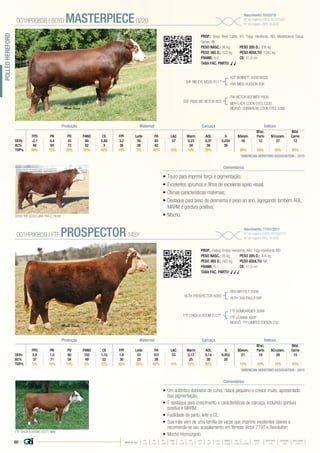 60 |
POLLEDHEREFORD
•	Touro para imprimir força e pigmentação;
•	Excelentes aprumos e filhos de excelente apelo visual;
•	Ótimas características maternais;
•	Destaque para peso de desmama e peso ao ano, agregando também AOL,
MARM e gordura positiva;
•	Mocho.
PROP.: Boyd Beef Cattle, KY, Topp Herefords, ND, Masterpiece Group,
Genex, WI
PESO NASC.: 36 kg	 PESO 205 D.: 336 kg
PESO 365 D.: 522 kg 	 PESO ADULTO: 1042 kg
FRAME: 6,0 		 CE: 41,0 cm
TAXA FAC. PARTO: √ √
SHF RIB EYE M326 R117
SSF P606 MS VICTOR 803
KCF BENNETT 3008 M326
HVH MISS HUDSON 83K
PW VICTOR BOOMER P606
MPH LADY COON EYES C330
BISAVÔ: DUNWALKE COON EYES 536E
001HP00838 | BOYD MASTERPIECE0220
Nascimento: 03/03/10
Nº de registro (USA): 43145081
Nº de registro (BR): IA-608
Comentários
L&C G $Desm.
$Fac.
$Cruzam.
$Val.
FPD PN PD PANO CE FPF Leite PA Marm AOL Parto Carne
DEPs -2,1 4,4 55 90 0,80 3,2 30 83 57 0,23 0,37 0,034 16 12 27 12
AC% 48 84 73 62 3 36 26 42 34 38 36
TOP% 90% 75% 20% 20% 40% 15% 5% 40% 10% 10% 35% 60% 85% 20% 80%
Produção Maternal Carcaça Índices
*AMERICAN HEREFORD ASSOCIATION - 2015
•	 Um autêntico dobrador de curva, nasce pequeno e cresce muito, apresentado
boa pigmentação;
•	 É destaque para crescimento e características de carcaça, incluindo gordura
positiva e MARM;
•	 Facilidade de parto, leite e CE;
•	 Sua mãe vem de uma família de vacas que imprime excelentes úberes e
recomenda-se seu acasalamento em fêmeas Victor 719T e Revolution;
•	 Mocho Homozigoto.
PROP.: Falling Timber Herefords, MO, Topp Herefords, ND
PESO NASC.: 36 kg	 PESO 205 D.: 304 kg
PESO 365 D.: 565 kg 	 PESO ADULTO: NA
FRAME: 6,1 		 CE: 41,5 cm
TAXA FAC. PARTO: √ √ √
HUTH PROSPECTOR K085
FTF CHICK A BOOM 7227T
RRH MR FELT 3008
HUTH 34A PAULA 68F
FTF BOMBARDIER 309N
FTF LEANNA 480P
BISAVÔ: FTF LIMITED EDITION 232
001HP00839 | FTF PROSPECTOR145Y
Nascimento: 17/01/2011
Nº de registro (USA): 43182570
Nº de registro (BR): IA-609
Comentários
L&C G $Desm.
$Fac.
$Cruzam.
$Val.
FPD PN PD PANO CE FPF Leite PA Marm AOL Parto Carne
DEPs 5,9 1,0 60 102 1,10 1,6 23 101 53 0,17 0,14 0,053 21 19 29 15
AC% 37 71 54 49 22 30 23 39 25 30 28
TOP% 5% 15% 10% 5% 15% 45% 35% 80% 15% 15% 80% 15% 10% 10% 45%
Produção Maternal Carcaça Índices
*AMERICAN HEREFORD ASSOCIATION - 2015
DOSS YHF 0220 LUKA YHA 2, FILHO
FTF CHICK A BOOM 7227T, MÃE
Média da raça
FPD PN PD PANO CE FPF LEITE PA L&C MARM AOL G $DESM $FAC PARTO $CRUZAM $VAL CARNE
+1,0 +3,3 +48 +78 +0,8 +1,3 +21 +87 +45 +0,06 +0,30 +0,002 +17 +15 +23 +15
 