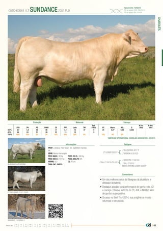 | 63
CHAROLÊS
Média da raça
FPD PN PD PANO CE FPF LEITE TM PC MARM AOL G
+3,3 +0,7 +26,9 +48,1 +0,7 +3,9 +8,3 +22,3 +12,3 +0,02 +0,20 0,000
•	Um dos melhores netos de Bluegrass da atualidade e
destaque da bateria;
•	Destaque absoluto para performance de ganho: leite, CE
e carcaça. Observe as DEPs de PC, AOL e MARM, além
de gordura superpositiva;
•	Sucesso no Beef Tour 2014, sua progênie se mostra
volumosa e estruturada.
PROP.: Lindskov-Thiel Ranch, SD, Satterfield Charolais,
AR
GENE: Mocho Homozigoto
PESO NASC.: 40 Kg	 PESO 205 D.: 386 Kg
PESO 365 D.: 737 Kg 	 PESO ADULTO: NA
FRAME: 6,0 		 CE: 41 cm
TAXA FAC. PARTO:
LT LEDGER 0332 P
LT BALLET 9219 POLLED
LT BLUEGRASS 4017 P
LT BRENDA 6120 PLD
LT RIVER DANCE 4114 P, FILHO
BLUEGRASS, AVÔ PATERNO
SUNDANCE - 1CH00964 2
LT EASY PRO 1158 PLD
LT BALLET 6233
BISAVÔ: EATONS LEADER 2233 P
001CH00964 | LT SUNDANCE2251 PLD
Nascimento: 15/03/12
Nº de registro (USA): M820210
Nº de registro (BR): IA-404
Informações Pedigree
Comentários
*AMERICAN INTERNATIONAL CHAROLAIS ASSOCIATION - 03/2015
Reb.
Filhos AOL G
N Pro.
Ultra
N Reb.
UltraFPD PN PD PANO CE FPF Leite TM PC Marm.
DEPs 3,7 1,8 46 86 1,1 4,1 13 37 0 25 0,27 0,56 0,036
AC% 44 63 51 26 22 13 19 0
TOP% 50% 75% 3% 3% 15% 50% 25% 4% 15% 4% 9%
Produção Maternal Carcaça
 