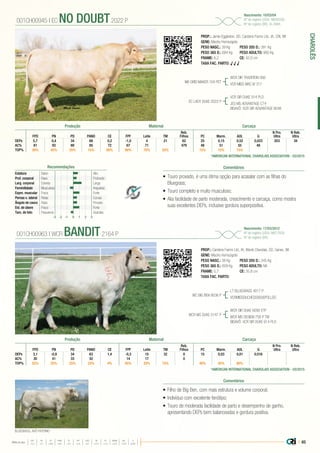 | 65
CHAROLÊS
Média da raça
FPD PN PD PANO CE FPF LEITE TM PC MARM AOL G
+3,3 +0,7 +26,9 +48,1 +0,7 +3,9 +8,3 +22,3 +12,3 +0,02 +0,20 0,000
•	Touro provado, é uma ótima opção para acasalar com as filhas do
Bluegrass;
•	Touro completo e muito musculoso;
•	Alia facilidade de parto moderada, crescimento e carcaça, como mostra
suas excelentes DEPs, inclusive gordura superpositiva.
PROP.: Jamie Eggleston, SD, Carstens Farms Ltd., IA, CRI, WI
GENE: Mocho Homozigoto
PESO NASC.: 39 Kg	 PESO 205 D.: 391 Kg
PESO 365 D.: 684 Kg 	 PESO ADULTO: 980 Kg
FRAME: 6,2 		 CE: 42,0 cm
TAXA FAC. PARTO: √ √ √
M6 GRID MAKER 104 PET
EC LADY DUKE 2022 P
WCR SIR TRADITION 066
VCR MISS MAC IV 317
VCR SIR DUKE 914 PLD
JES MS ADVANTAGE C74
BISAVÔ: SCR SIR ADVANTAGE 9048
001CH00945 | EC NO DOUBT2022 P
Nascimento: 10/03/04
Nº de registro (USA): M685500
Nº de registro (BR): IA-368A
ComentáriosRecomendações
Estatura Baixo Alto
Prof. corporal Raso Profundo
Larg. corporal Estreita Larga
Feminilidade Musculosa Angulosa
Expre. muscular Fraca Forte
Pernas v. lateral Retas Curvas
Ângulo de casco Raso Fincado
Est. de úbere Fraco Forte
Tam. de teto Pequenos Grandes
-3 -1-2 0 1 2 3
Reb.
Filhos AOL G
N Pro.
Ultra
N Reb.
UltraFPD PN PD PANO CE FPF Leite TM PC Marm.
DEPs 5,7 0,4 34 68 0,2 -1,0 4 21 62 25 0,15 0,52 0,023 203 34
AC% 81 93 89 85 72 67 71 479 48 51 55 48
TOP% 30% 45% 25% 15% 90% 90% 75% 55% 15% 15% 15%
*AMERICAN INTERNATIONAL CHAROLAIS ASSOCIATION - 03/2015
•	Filho de Big Ben, com mais estrutura e volume corporal;
•	Indivíduo com excelente fenótipo;
•	Touro de moderada facilidade de parto e desempenho de ganho,
apresentando DEPs bem balanceadas e gordura positiva.
PROP.: Carstens Farms Ltd., IA, Wienk Charolais, SD, Genex, WI
GENE: Mocho Homozigoto
PESO NASC.: 38 Kg	 PESO 205 D.: 345 Kg
PESO 365 D.: 609 Kg 	 PESO ADULTO: NA
FRAME: 5,7 		 CE: 35,8 cm
TAXA FAC. PARTO:
WC BIG BEN 9036 P
WCR MS DUKE 0147 P
LT BLUEGRASS 4017 P
VCRMISSDUCHESS9506POLLED
WCR SIR DUKE 6090 ETP
WCR MS DESIGN 758 P TW
BISAVÔ: VCR SIR DUKE 914 PLD
001CH00963 | WCR BANDIT2164 P
Nascimento: 17/03/2012
Nº de registro (USA): M817600
Nº de registro (BR):
Comentários
Reb.
Filhos AOL G
N Pro.
Ultra
N Reb.
UltraFPD PN PD PANO CE FPF Leite TM PC Marm.
DEPs 3,1 -0,9 34 63 1,4 -0,3 15 32 0 15 0,03 0,01 0,016
AC% 30 41 33 32 14 17 0
TOP% 55% 25% 25% 25% 4% 85% 20% 15% 40% 45% 80%
*AMERICAN INTERNATIONAL CHAROLAIS ASSOCIATION - 03/2015
Produção Maternal Carcaça
Produção Maternal Carcaça
BLUEGRASS, AVÔ PATERNO
 