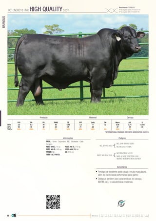 68 |
BRANGUS
Média da raça
FPD PN PD PANO CE FPF LEITE TM MARM AOL G
+3,8 +0,9 +24,4 +46,6 +0,38 +4,1 +9,5 +21,8 +0,01 +0,31 -0,043
•	Fenótipo de excelente apelo visual e muita musculatura,
além de excepcional performance para ganho;
•	Destaque também para características de carcaça,
MARM, AOL e características maternais.
PROP.: Genex Cooperative INC, Blackwater Cattle
Company
PESO NASC.: 44 kg	 PESO 205 D.: 415 kg
PESO 365 D.: 685 kg 	 PESO ADULTO: NA
FRAME: NA 		 CE: 37,9 cm
TAXA FAC. PARTO:
MC JETHRO 00S3
BWCC MS REAL DEAL
MC JOHN WAYNE 165N3
MC MS STOUT 00M5
MC REAL DEAL 541R3
MISS 4C NEW DIRECTION 535R
BISAVÔ: NEW DIRECTION 000 M24
001BN00018 | MC HIGH QUALITY535Y
Nascimento: 17/02/11
Nº de registro (USA): R10203178
Nº de registro (BR): R10203178
Informações Pedigree
Comentários
*INTERNATIONAL BRANGUS BREEDERS ASSOCIATION 03/2015
GFPD PN PD PANO CE FPF Leite TM Marm AOL
DEPs 2,0 5,5 46 85 0,69 3,2 9 32 0,09 0,71 -0,034
AC% 25 38 32 22 29 21 22 27 34 32
TOP% 95% 100% 1% 2% 30% 80% 60% 5% 20% 3%
Produção Maternal Carcaça
 