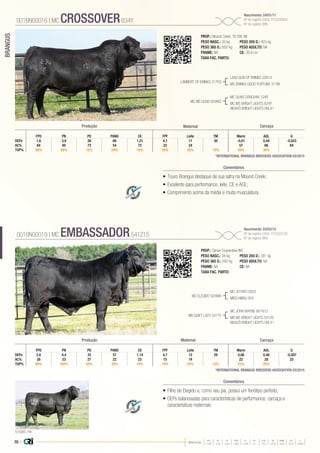 70 |
BRANGUS
Média da raça
FPD PN PD PANO CE FPF LEITE TM MARM AOL G
+3,8 +0,9 +24,4 +46,6 +0,38 +4,1 +9,5 +21,8 +0,01 +0,31 -0,043
•	Touro Brangus destaque de sua safra na Mound Creek;
•	Excelente para performance, leite, CE e AOL;
•	Comprimento acima da média e muita musculatura.
PROP.: Mound Creek, TX CRI, WI
PESO NASC.: 35 kg	 PESO 205 D.: 403 kg
PESO 365 D.: 602 kg 	 PESO ADULTO: NA
FRAME: NA 		 CE: 39,9 cm
TAXA FAC. PARTO:
LAMBERT OF BRINKS 317R3
MC MS GUNS 834W3
LEAD GUN OF BRINKS 22K14
MS BRINKS GOOD FORTUNE 317M
MC GUNS DONOVAN 124R
MC MS BRIGHT LIGHTS 834P
BISAVÔ:BRIGHT LIGHTS 99L41
001BN00016 | MC CROSSOVER834Y
Nascimento: 24/01/11
Nº de registro (USA): R10200926
Nº de registro (BR):
Comentários
GFPD PN PD PANO CE FPF Leite TM Marm AOL
DEPs 1,6 3,9 38 66 1,21 4,1 11 30 -0,01 0,44 -0,053
AC% 64 80 73 54 72 22 24 57 66 64
TOP% 95% 95% 15% 20% 10% 35% 35% 15% 50% 30%
Produção Maternal Carcaça
*INTERNATIONAL BRANGUS BREEDERS ASSOCIATION 03/2015
•	Filho de Elegido e, como seu pai, possui um fenótipo perfeito;
•	DEPs balanceadas para características de performance, carcaça e
características maternais.
PROP.: Genex Cooperative INC
PESO NASC.: 38 kg	 PESO 205 D.: 381 kg
PESO 365 D.: 592 kg 	 PESO ADULTO: NA
FRAME: NA 		 CE: NA
TAXA FAC. PARTO:
MC ELEGIDO 924W6
MB QUIET LADY 541T5
MC JETHRO 00S3
MISS NMSU 924
MC JOHN WAYNE 661N13
MB MS BRIGHT LIGHTS 541R5
BISAVÔ:BRIGHT LIGHTS 99L41
001BN00019 | MC EMBASSADOR541Z15
Nascimento: 03/02/12
Nº de registro (USA): R10223720
Nº de registro (BR):
Comentários
GFPD PN PD PANO CE FPF Leite TM Marm AOL
DEPs 2,6 4,4 33 57 1,14 4,7 12 29 0,06 0,48 -0,007
AC% 26 33 27 22 23 15 14 22 28 25
TOP% 90% 100% 20% 30% 10% 10% 25% 15% 25% 25%
Produção Maternal Carcaça
*INTERNATIONAL BRANGUS BREEDERS ASSOCIATION 03/2015
ELEGIDO, PAI
 