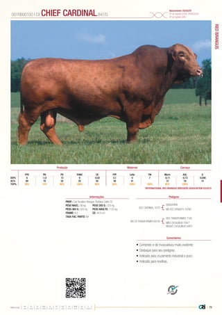 REDBRANGUS
| 71Média da raça
FPD PN PD PANO CE FPF LEITE TM MARM AOL G
+3,8 +0,9 +24,4 +46,6 +0,38 +4,1 +9,5 +21,8 +0,01 +0,31 -0,043
•	Comprido e de musculatura muito evidente;
•	Destaque para seu pedigree;
•	Indicado para cruzamento industrial e puro;
•	Indicado para novilhas.
PROP.: Cox Excalibur Brangus, Buffaloe Cattle CO
PESO NASC.: 36 kg	 PESO 205 D.: 320 kg
PESO 365 D.: 522 kg 	 PESO ADULTO: 1123 kg
FRAME: 6,5 		 CE: 44,0 cm
TAXA FAC. PARTO: NA
VCC CARDINAL 107D
MS CX TRANSFORMER 847/B
SENSATION
MS VCC DYNASTY 107B2
RED TRANSFORMER T100
MISS EXCALIBUR 784/7
BISAVÔ: EXCALIBUR 5/801
001RB00100 | CX CHIEF CARDINAL847/G
Nascimento: 05/05/97
Nº de registro (USA): RR600936
Nº de registro (BR):
Informações Pedigree
Comentários
*INTERNATIONAL RED BRANGUS BREEDERS ASSOCIATION 03/2015
GFPD PN PD PANO CE FPF Leite TM Marm AOL
DEPs 6 -1,0 13 9 -0,02 3,1 0 7 -0,11 -0,13 -0,056
AC% 69 78 54 25 50 58 41 12 19 15
TOP% 30% 15% 90% 100% 90% 80% 100% 100% 95% 100%
Produção Maternal Carcaça
 