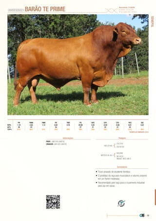 | 77
SENEPOL
•	Touro provado de excelente fenótipo;
•	O protótipo da raça para musculatura e volume corporal
em um frame moderado;
•	Recomendado para raça pura e cruzamento industrial
para uso em vacas.
PROP.: JAIR DOS SANTOS
CRIADOR: JAIR DOS SANTOS
RBS 9704G
MOTEZA DA JAJ
CN 5754
CN 5873D
NOCONA
WC 6016
BISAVÔ: WCS 396-S
000SE00002 | BARÃO TE PRIME Nascimento: 21/08/09
ID Animal: AGL042209
Nº de registro (BR): R03362
Informações Pedigree
Comentários
*GENEPLUS EMBRAPA 2015
CFDPN PMM TMM PD TMD PS GPD CFS PES IQG
DEPs 1,18 2,82 1,12 6,82 0,76 20,98 5,55 -0,04 -0,06 0,01 0,42
AC% 38 23 24 27 21 22 21 24
TOP% 81% 46% 51% 33% 69% 26% 34% 78% 80% 57% 34%
 
