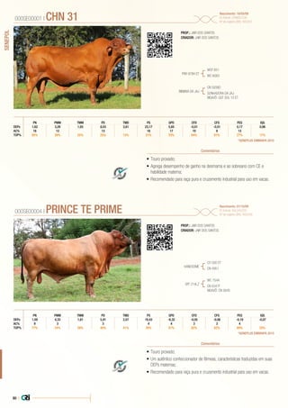 80 |
SENEPOL
•	Touro provado;
•	Agrega desempenho de ganho na desmama e ao sobreano com CE e
habilidade materna;
•	Recomendado para raça pura e cruzamento industrial para uso em vacas.
PROP.: JAIR DOS SANTOS
CRIADOR: JAIR DOS SANTOS
PRR 978H ET
BIBIANA DA JAJ
WCF 651
WC 6083
CN 5938D
SONHADORA DA JAJ
BISAVÔ: GST SOL 10 ET
000SE00001 | CHN 31 Nascimento: 18/05/09
ID Animal: CHN003109
Nº de registro (BR): R03307
Comentários
CFDPN PMM TMM PD TMD PS GPD CFS PES IQG
DEPs 1,62 3,29 1,93 8,03 3,81 23,17 5,85 -0,01 -0,01 0,17 0,96
AC% 16 12 13 18 17 10 8 13
TOP% 95% 39% 25% 25% 13% 21% 33% 64% 61% 27% 17%
*GENEPLUS EMBRAPA 2015
•	Touro provado;
•	Um autêntico confeccionador de fêmeas, características traduzidas em suas
DEPs maternas;
•	Recomendado para raça pura e cruzamento industrial para uso em vacas.
PROP.: JAIR DOS SANTOS
CRIADOR: JAIR DOS SANTOS
HANDSOME
SFF 214LZ
CO 500 ET
CN 4951
WC 754A
CN 6347F
BISAVÔ: CN 5645
000SE00004 | PRINCE TE PRIME Nascimento: 01/10/09
ID Animal: AGL043209
Nº de registro (BR): R03349
Comentários
CFDPN PMM TMM PD TMD PS GPD CFS PES IQG
DEPs 1,09 4,33 1,81 5,91 2,07 19,43 -6,32 -0,05 -0,06 -0,19 -0,07
AC% 9 3 3 4 4 3 3 4
TOP% 77% 24% 29% 40% 41% 30% 81% 82% 82% 89% 53%
*GENEPLUS EMBRAPA 2015
 