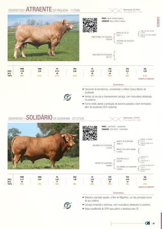 | 81
CARACU
•	Descende de Iamotécnico, considerado o melhor Caracu Mocho da
atualidade;
•	Herdou do seu pai a impressionante carcaça, com musculatura destacada
no posterior;
•	Frame médio atende a produção de bezerros pesados e bem terminados,
além de excelentes DEPs maternas.
PROP.: Nilson Antônio Pagliosa
CRIADOR: Nilson Antônio Pagliosa
IAMOTÉCNICO DA PAGLIOSA
095059
MAGNÍFICO DA GUARAUNA
103029
ANACONDA DA PLAGLIOSA
083721
HAPNER DA GUARAUNA
066864
BARALHO DA 2A
058111
GAIATO DA GUARAUNA
068613
OCUPADO DO I.Z.
026281
FUMO DAS TRES CAPOES
032509
GENERAL DO RECREIO
012116
JABURU DO I.Z.
017771
DOUTOR DA CERRO ALTO
024153
REBELDE DO CAPAO GRANDE
036343
GUMA DA CERRO ALTO
026654
ESPOLETA DO I.Z.
017671
BONITA DO SALTO
018703
VALENCIA DA PAGLIOSA
077524
ANGOLA DA SANTA MARIA
018454
COLOMBINA DA GUARAUNA
033664
000CR01505 | ATRAENTEDA PAGLIOSA - 117569 Nascimento: 30/10/03
Nº de registro (BR): 117569
Comentários
IQGPMM TMM PD TMD PS GPD PES
DEPs -2,59 3,00 21,51 8,99 2,24 7,46 0,01 3,28
AC% 41 59 26 26 7
TOP% 99% 0,1% 0,1% 0,1% 38% 28% 60% 0,1%
*GENEPLUS EMBRAPA
•	Belíssimo exemplar aspado, é filho de Magnífico, um dos principais touros
de seu criatório;
•	Carcaça comprida e volumosa, com musculatura destacada no posterior;
•	Régua equilibrada de DEPs para ganho e destaque para CE.
PROP.: LICIO ISFER - GUARAUNA
CRIADOR: LICIO ISFER - GUARAUNA
000CR00001 | SOLIDÁRIODA GUARAUNA - CI137539 Nascimento: 17/07/07
Nº de registro (BR): LI0963
Comentários
IQGPMM TMM PD TMD PS GPD PES
DEPs 0,15 0,84 2,82 1,86 3,55 6,84 0,44 0,81
AC% 44 71 65 65 16
TOP% 33% 22% 42% 28% 26% 29% 8% 21%
*GENEPLUS EMBRAPA
 