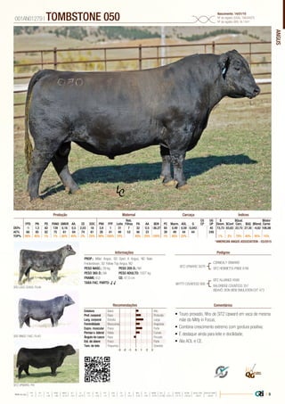 ANGUS
•	Touro provado, filho de SITZ Upward em vaca de mesma
mãe do Mitty in Focus;
•	Combina crescimento extremo com gordura positiva;
•	É destaque ainda para leite e docilidade;
•	Alia AOL e CE.
PROP.: Millar Angus, SD Open A Angus, ND Nate
Frederickson, SD Yellow Top Angus, ND
PESO NASC.: 39 kg	 PESO 205 D.: NA
PESO 365 D.: NA 	 PESO ADULTO: 1007 kg
FRAME: 6,0 		 CE: 47,0 cm
TAXA FAC. PARTO: √ √
SITZ UPWARD 307R
MYTTY COUNTESS 906
CONNEALY ONWARD
SITZ HENRIETTA PRIDE 81M
SRS RINGO 748Z, FILHO
SITZ UPWARD, PAI
SRS LASS 3206A, FILHA
SITZ ALLIANCE 6595
BALDRIDGE COUNTESS 357
BISAVÔ: BON VIEW EMULATION EXT 473
001AN01279 | TOMBSTONE 050 Nascimento: 14/01/10
Nº de registro (USA): 16644975
Nº de registro (BR): IA-1541
Informações Pedigree
ComentáriosRecomendações
Reb.
Filhas
CG
CP
UG
UP
$
Desm.
$Qual.
Carc.
$Valor
CarneFPD PN PD PANO GMDR Alt. CE DOC PNV FPF Leite PA AA $EN PC Marm. AOL G $Conf $GQ $Rend.
DEPs -1 1,3 82 139 0,16 0,5 2,03 18 3,9 1 31 7 32 0,5 -36,27 65 0,49 0,59 0,043 45 73,73 83,63 22,73 27,35 -4,62 106,86
AC% 68 85 82 75 61 64 74 61 26 41 49 53 48 33 39 49 44 44 248
TOP% 90% 45% 1% 1% 60% 45% 2% 25% 90% 100% 10% 45% 25% 100% 1% 45% 25% 1% 2% 70% 40% 95% 15%
Produção Maternal Carcaça Índices
*AMERICAN ANGUS ASSOCIATION - 03/2015
Estatura Baixo Alto
Prof. corporal Raso Profundo
Larg. corporal Estreita Larga
Feminilidade Musculosa Angulosa
Expre. muscular Fraca Forte
Pernas v. lateral Retas Curvas
Ângulo de casco Raso Fincado
Est. de úbere Fraco Forte
Tam. de teto Pequenos Grandes
-3 -1-2 0 1 2 3
| 9Média da raça
FPD PN PD PANO GMDR ALT CE DOC PNV FPF LEITE PA AA $EN PC MARM AOL G $DESM $CONF $QUAL CARC $VALOR CARNE
 +5  +1.7  +49  +86  +0.18  +0.5  +0.79  +11  +8.9  +9  +23  +27  +0.3  -5.40  +29  +0.45  +0.39  +0.011  +37.74  +35.54  +28.07  +80.81
 