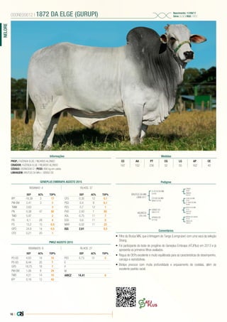 16 |
NELORE
PROP.: FAZENDA ELGE / RICARDO ALONSO
CRIADOR: FAZENDA ELGE / RICARDO ALONSO
CÓDIGO: 000NE00612 | PESO: 890 kg em coleta
LINHAGEM: BRUTUS DA MN x DENSO DS
000NE00612 | 1872 DA ELGE (GURUPI) Nascimento: 11/09/11
Série: ELGE | RGD: 1872
Informações Medidas
CC AA PT CG LG AP CE
167 152 236 52 55 162 40
Pedigree
Comentários
BRUTUS DA MN
LBMN D417
HEURECA
CRS 546
A 4319 DA MN
E4428
DENSO DS
DWS 6176
C3106 DA MN
MANA C3106
ATINGA DS
DJ1538
TANGO
C6692
B2816 DO MN
I1019
1646 DA MN
D7661
INDAIA DA GAVEA
D7636
RAINHA
BN5343
SATI DS
CM8426
A 7826 DA MN
DB386
TINGA DS
CM8393
•	 Filho do Brutus MN, que é linhagem do Tango (Lemgruber) com uma vaca da seleção
Strang.
•	 Foi participante do teste de progênie do Geneplus Embrapa (ATJPlus) em 2013 e já
apresenta os primeiros filhos avaliados.
•	 Régua de DEPs excelente e muito equilibrada para as características de desempenho,
carcaça e reprodutivas.
•	 Biotipo precoce com muita profundidade e arqueamento de costelas, além de
excelente padrão racial.
GENEPLUS EMBRAPA AGOSTO 2015
REBANHO: 4 FILHOS: 37
DEP AC% TOP%
IPP -16,38 3 17
PM-EM 2,41 3 2
TMM 3,63 3
PN 0,38 47 92
TMD 5,97 2
PD 6,1 28 4
PS 13,2 15 0,5
GPD 24,9 14 0,5
CFD 0,21 20 1
DEP AC% TOP%
CFS 0,35 12 0,1
PED 0,4 9 0,1
PES 0,7 12 1
PVD 2,93 1 85
AOL 0,75 11 7
EGS 0,6 11 5
MAR 0,02 11 22
IQG 2,61 0,5
PMGZ AGOSTO 2015
REBANHOS: 6 FILHOS: 27
DEP AC% TOP%
PD-ED 4,83 19 10
PS-ED 6,44 20 7
GPD 18,75 18 7
PM-EM 1,06 9 24
TMD 4,21 14 10
IPP 0,16 12 42
DEP AC% TOP%
PES 0,73 31 2
E
P
M
iABCZ 14,41 6
 