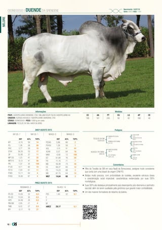 18 |
NELORE
PROP.: AGROPECUÁRIA GRENDENE LTDA / WILLIAM KOURY FILHO/ AGROPECUÁRIA AH
CRIADOR: FAZENDA RESSACA / AGROPECUÁRIA GRENDENE LTDA
CÓDIGO: 000NE00593 | PESO: 1098 kg em coleta
LINHAGEM: TECELÃO DA SM x NADÃ DA BONS
000NE00593 | DUENDE DA GRENDENE
Nascimento: 15/07/10
Série: GRED | RGD: 1284
Informações Medidas
CC AA PT CG LG AP CE
185 161 245 58 82 166 46
Pedigree
Comentários
TECELÃO DA SM
CSCN 6330
ACHUCA I FIV GREN.
GRED 66
GANDHI PO DA NI
L212
NADÃ DA BONS
ZAN 14
ROMALIA DA FURNA
DX1129
CH 2476/03
AAAP 2476
1646 DA MN
D7661
GENETICO
F1046
ERECHIM DA PRAIA
G274
RAMBO DA MN
I 1111
GARUDA POI DA NI
DN8670
HAZY DA BONSUC
DT2440
JURUJUBA DA FURNA
CS 5
CFM 852
AAAP 852
•	 Filho do Tecelão da SM em vaca Nadã da Bonsucesso, pedigree muito consistente
que conta com uma bisavó de origem CFM PO.
•	 Biotipo muito precoce, com profundidade de costelas, excelente estrutura óssea
e caracterização racial impecável, características evidenciadas por suas DEPs
morfológicas.
•	 Suas DEPs são destaque principalmente para desempenho pós-desmama e perímetro
escrotal, além de serem auxiliadas pela genômica que garante maior confiabilidade.
•	 Um dos maiores formadores de rebanho da bateria.
ANCP AGOSTO 2015
DEP AC% TOP%
IPP -0,70 59 14
PG 1,36 58 90
PAC 3,77 59 16
STAY 56,35 53 17
3P 52,85 37 11
MP120 1,23 47 35
MP210 -0,12 47 80
PN 1,37 35 100
P120 4,71 60 10
P210 7,20 61 11
P365 15,11 64 4
P450 16,40 67 4
DEP AC% TOP%
PE365 0,86 66 2
PE450 1,26 59 1
AOL -0,33 61 60
ACAB 0,07 64 16
MAR -0,06 12 100
ED 61,80 76 25
PD 71,70 71 7
MD 56,48 73 35
ES 68,27 65 14
PS 74,23 68 3
MS 67,75 64 15
MGT 14,64 60 3
NF120: 7 NR120: 1 NF450: 0 NR450: 0
PMGZ AGOSTO 2015
REBANHOS: 2 FILHOS: 14
DEP AC% TOP%
PD-ED 10,05 33 0,5
PS-ED 13,53 30 0,5
GPD 34,49 29 0,5
PM-EM 2,55 21 4
TMD 8,22 27 0,5
IPP -3,17 19 27
DEP AC% TOP%
PES 1,40 32 0,1
E
P
M
iABCZ 29,17 0,1
 