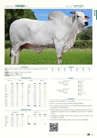 | 19
NELORE
PROP.: RANCHO DA MATINHA / PAULETE AGROPECUÁRIA / JULIO BERNARDES / ROBERT CARLOS
BERGER
CRIADOR: RANCHO DA MATINHA / LUCIANO BORGES RIBEIRO
CÓDIGO: 000NE00581 | PESO: 1120 Kg
LINHAGEM: QUARK COL x 1646 DA MN
000NE00581 | PAPUDO MAT
Nascimento: 06/09/10
Série: RDM | RGD: 4760
Informações Medidas
CC AA PT CG LG AP CE
188 156 248 66 66 165 42
Pedigree
Comentários
QUARK COL
L4810
LANAI FIV MAT
RDM 3935
ZEFEC ABDALA
F9902
1646 DA MN
D7661
BNUVA COL
CM4163
CAROLA
RDM 321
LUDY DE GARÇA
C6740
BARRANCO 1171
B3194
QABUS DA CAL
B500
HASHIYAH DA GUANAC.
J9090
ESMERALDA
AACC 4732
HIALITA LUMA
AP1631
GOTA DA ESP.
L6894
DEFESA 71
ED314
•	 Papudo é TOP 2% para MGT e 0,1% para iABCZ.
•	 Teve o 3º maior índice na prova de eficiência alimentar da Matinha.
•	 Em seu pedigree, combina Quark COL com 1646 da MN, apresentando boa ossatura,
pigmentação e caracterização racial.
•	 Destaque absoluto para produção de fêmeas, apresentando altíssimas DEPs para
produtividade e longevidade da vaca, probabilidade de parto precoce e habilidade
materna.
•	 As avaliações morfológicas mostram que sua progênie tem boa estrutura, muita
precocidade e musculatura.
•	 Suas DEPs são auxiliadas pela genômica, o que garante maior confiabilidade.
ANCP AGOSTO 2015
DEP AC% TOP%
IPP -0,40 59 40
PG 0,00 59 35
PAC 8,49 59 1
STAY 63,75 53 2
3P 55,35 38 4
MP120 3,76 47 2
MP210 6,12 48 0,5
PN 1,00 35 80
P120 6,11 62 3
P210 10,64 64 2
P365 14,97 65 4
P450 17,61 68 3
DEP AC% TOP%
PE365 0,46 67 10
PE450 0,56 61 10
AOL 1,34 63 8
ACAB 0,08 65 14
MAR 0,00 19 45
ED 65,49 76 19
PD 74,11 72 3
MD 74,96 73 0,5
ES 74,40 64 3
PS 74,82 67 1
MS 72,72 64 7
MGT 15,28 61 2
NF120: 17 NR120: 1 NF450: 5 NR450: 1
PMGZ AGOSTO 2015
REBANHOS: 5 FILHOS: 113
DEP AC% TOP%
PD-ED 9,07 35 0,5
PS-ED 10,46 29 1
GPD 22,43 22 4
PM-EM 3,46 24 1
TMD 9,85 29 0,1
IPP -22,60 20 3
DEP AC% TOP%
PES 1,27 34 0,1
E
P
M
iABCZ 31,24 0,1
 