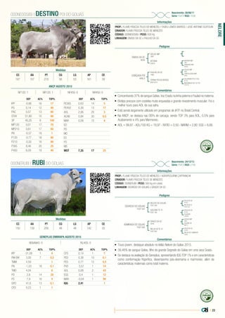 | 23
NELORE
PROP.: FLAVIO PÁSCOA TELES DE MENEZES / TADEU LEMOS BARROS / JOSÉ ANTONIO SCATOLIN
CRIADOR: FLAVIO PÁSCOA TELES DE MENEZES
CÓDIGO: 000NE00589 | PESO: 830 Kg
LINHAGEM: ENADU DA SC x FAULAD DA SC
Nascimento: 28/08/11
Série: FSAT | RGD: 1036
Informações
000NE00589 | DESTINO POI DO GOLIAS
Pedigree
Comentários
ENADU DA SC
9636
COBIÇADA POI
KING 8
GOLIAS IMP.
3981
FAULAD DA SC
7955
BOTANA
E4676
OPANA POI DA BODOQ.
BOD 5272
GOLIAS IMP
3981
KARVADI IMP.
3987
HAJJIRBAN POI 3 COX.
E2155
CHINTALADEVI IMP.
B395
SANOBAR IMP.
B2699
MARANADA POI 157 RC
CP7819
•	 Concentrando 37% de sangue Golias, traz Enadu na linha paterna e Faulad na materna.
•	 Biotipo precoce com costelas muito arqueadas e grande revestimento muscular. Foi o
melhor touro para AOL de sua safra.
•	 Está sendo largamente utilizado em programas de IATF no Brasil Central.
•	 Na ANCP, se destaca nas DEPs de carcaça, sendo TOP 3% para AOL, 0,5% para
Acabamento e 4% para Marmoreio.
•	 AOL = 99,87 - AOL/100 KG = 19,97 - RATIO = 0,50 - MARM = 2,80 EGS = 6,66.
Medidas
CC AA PT CG LG AP CE
167 157 210 56 53 161 39
PROP.: FLAVIO PÁSCOA TELES DE MENEZES / AGROPECUÁRIA LAFFRANCHI
CRIADOR: FLAVIO PÁSCOA TELES DE MENEZES
CÓDIGO: 000NERUBI | PESO: 560 kg em coleta
LINHAGEM: SEGREDO DO GOLIAS x GRADO DA SC
Nascimento: 24/12/13
Série: FSAT | RGD: 2195
Informações
000NERUBI | RUBI DO GOLIAS
Pedigree
Comentários
SEGREDO DO GOLIAS
FSAT 597
ADMIRADA DO GOLIAS
FSAT 695
RELEVO DO GOLIAS
FSAT 289
GRADO DA SC
9246
GOLIONA TE 41
FSAT 166
RELVA VII TE 41
FSAT 695
FAUJI DA SC
B1522
GOLIAS IMP
3981
FAUJI DA SC
B1522
FAUJI DA SC
B1522
RELVA III 41
FSAS 356
SAJENE VR
B8674
FULIGEM
CV4093
RELVA DO CAMBUHY
CX862
•	 Touro jovem, destaque absoluto no leilão Nelore do Golias 2015.
•	 39,46% de sangue Golias, filho do grande Segredo do Golias em uma vaca Grado.
•	 Se destaca na avaliação do Geneplus, apresentando IQG TOP 1% e em características
como conformação frigorífica, desempenho pós-desmama e marmoreio, além de
características maternais como total materno.
Medidas
CC AA PT CG LG AP CE
150 139 200 48 48 142 33
ANCP AGOSTO 2015
DEP AC% TOP%
IPP -0,66 16 17
PG 0,14 12 40
PAC 0,57 13 60
STAY 51,80 15 60
3P 45,25 9 100
MP120 0,01 17 70
MP210 0,61 17 60
PN -0,57 19 1
P120 -0,77 18 90
P210 -0,02 16 80
P365 8,46 20 25
P450 6,09 19 40
DEP AC% TOP%
PE365 0,63 14 5
PE450 0,39 13 17
AOL 2,06 29 3
ACAB 0,84 30 0,5
MAR 0,09 15 4
ED
PD
MD
ES
PS
MS
MGT 7,35 17 25
NF120: 1 NR120: 1 NF450: 0 NR450: 0
GENEPLUS EMBRAPA AGOSTO 2015
REBANHO: 0 FILHOS: 0
DEP AC% TOP%
IPP -31,08 1 4
PM-EM 3,00 7 0,5
TMM 4,59 1
PN -1,03 18 0,1
TMD 4,04 6
PD 2,8 14 20
PS 7,9 16 4
GPD 41,6 13 0,1
CFD 0,23 1 1
DEP AC% TOP%
CFS 0,14 1 7
PED 0,38 10 0,1
PES 0,77 12 0,5
PVD -3,57 1 14
AOL 0,09 2 43
EGS 0,4 1 12
MAR -0,04 1 94
IQG 2,41 1
37%
39%
 