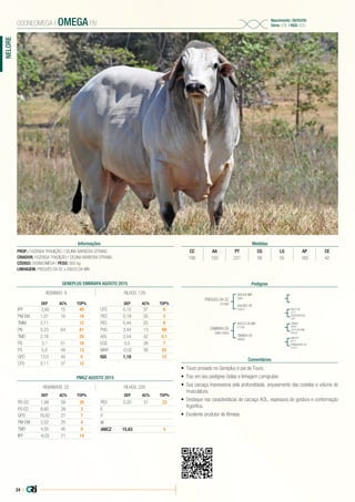 24 |
NELORE
PROP.: FAZENDA TRADIÇÃO / CELINA BARBOSA STRANG
CRIADOR: FAZENDA TRADIÇÃO / CELINA BARBOSA STRANG
CÓDIGO: 000NEOMEGA | PESO: 950 kg
LINHAGEM: FREGUES DA SC x A9533 DA MN
000NEOMEGA | OMEGA FIV
Nascimento: 26/03/05
Série: UTIL | RGD: 625
Informações Medidas
CC AA PT CG LG AP CE
180 150 231 58 55 160 42
Pedigree
Comentários
FREGUES DA SC
A1949
CAMBIRA DS
DWS 5954
GOLIAS IMP.
3981
A9533 DA MN
F7196
VALIDEZ VR
C8972
TIMBIRA DS
DB929
TANGO
C6692
RALO VR
3714
ABIOTO
D6771
7474 DA MN
BN5322
DESPORTISTA
2467
PRIMAVERA DS
BT2261
•	 Touro provado no Geneplus e pai de Touro.
•	 Traz em seu pedigree Golias e linhagem Lemgruber.
•	 Sua carcaça impressiona pela profundidade, arqueamento das costelas e volume de
musculatura.
•	 Destaque nas características de carcaça AOL, espessura de gordura e conformação
frigorífica.
•	 Excelente produtor de fêmeas.
GENEPLUS EMBRAPA AGOSTO 2015
REBANHO: 9 FILHOS: 129
DEP AC% TOP%
IPP -3,60 15 40
PM-EM 1,01 16 18
TMM 2,11 12
PN 0,23 64 81
TMD 2,16 20
PD 3,1 51 18
PS 5,0 49 13
GPD 13,0 45 8
CFD 0,11 37 12
DEP AC% TOP%
CFS 0,15 37 6
PED 0,19 35 5
PES 0,44 25 6
PVD 3,44 13 89
AOL 2,54 42 0,1
EGS 0,5 39 7
MAR -0,02 38 82
IQG 1,18 12
PMGZ AGOSTO 2015
REBANHOS: 22 FILHOS: 220
DEP AC% TOP%
PD-ED 1,99 58 35
PS-ED 8,60 39 3
GPD 18,82 27 7
PM-EM 2,52 25 4
TMD 4,55 40 8
IPP -8,02 21 14
DEP AC% TOP%
PES 0,20 31 23
E
P
M
iABCZ 15,63 5
 