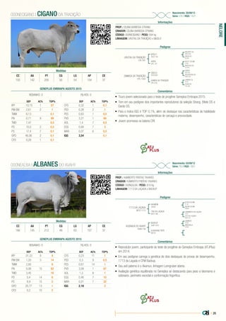 | 25
NELORE
PROP.: CELINA BARBOSA STRANG
CRIADOR: CELINA BARBOSA STRANG
CÓDIGO: 000NECIGANO | PESO: 594 kg
LINHAGEM: URUTAU DA TRADIÇÃO x GIGOLO
Nascimento: 20/09/13
Série: UTIL | RGD: 1427
Informações
000NECIGANO | CIGANO DA TRADIÇÃO
Pedigree
Comentários
URUTAU DA TRADIÇÃO
UTIL 931
ZAMBOA DA TRADIÇÃO
UTIL 1002
BITELO
TECO 105
GIGOLO
TECO 691
HORA
UTIL 147
SAMOA DA TRADIÇÃO
UTIL 818
ENCARTE DS
DWS 6494
DARDO
CRS 226
B2227 DA MN
I1020
JANEIRO OL
I5752
DACIA DS
EE2391
FECHADURA DS
DWS 6761
ARACAJU DS
DJ1540
OLAIA FIV
UTIL 626
•	 Touro jovem selecionado para o teste de progênie Geneplus Embrapa 2015.
•	 Tem em seu pedigree dois importantes reprodutores da seleção Strang, Bitelo DS e
Dardo DS.
•	 Para o índice IQG é TOP 0,1%, além de destaque nas características de habilidade
materna, desempenho, características de carcaça e precocidade.
•	 Jovem promessa na bateria CRI.
Medidas
CC AA PT CG LG AP CE
155 142 205 50 54 154 37
PROP.: HUMBERTO FREITAS TAVARES
CRIADOR: HUMBERTO FREITAS TAVARES
CÓDIGO: 000NEALBA | PESO: 816 Kg
LINHAGEM: 1713 DA LAÇADA x BACKUP
Nascimento: 03/09/12
Série: FEU | RGD: 1807
Informações
000NEALBA | ALBANES DO AVAHY
Pedigree
Comentários
1713 DA LAÇADA
BETO 1713
ALIENADA DO AVAHY
FEUN 738
AKAMUN
J5525
BACKUP
AAAP 1653
786 DA LAÇADA
BETO 786
AJ582995 TIETE
BA724
B1826 DA MN
I1116
GABINETE
F1045
CABIMENTO DA LAÇADA
J123
B2598 DA MN
DI5944
AMAGDALA
AT499
375 DA LAÇADA
BETO 375
•	 Reprodutor jovem, participante do teste de progênie do Geneplus Embrapa (ATJPlus)
em 2014.
•	 Em seu pedigree carrega a genética de dois destaques de provas de desempenho,
1713 da Laçada e CFM Backup.
•	 Seu avô paterno é o Akamun, linhagem Lemgruber aberta.
•	 Avaliação genética equilibrada no Geneplus se destacando para peso a desmama e
sobreano, perímetro escrotal e conformação frigorífica.
Medidas
CC AA PT CG LG AP CE
166 145 212 49 63 157 37
GENEPLUS EMBRAPA AGOSTO 2015
REBANHO: 0 FILHOS: 0
DEP AC% TOP%
IPP -10,15 1 27
PM-EM 2,61 2 1
TMM 6,13 0,1
PN 0,71 9 99
TMD 7,47 0,5
PD 10,0 2 0,5
PS 17,4 7 0,1
GPD 46,06 2 0,1
CFD 0,29 1 0,1
DEP AC% TOP%
CFS 0,32 1 0,1
PED 0,28 2 1
PES 0,83 1 0,5
PVD 3,27 1 88
AOL 1,4 7 0,5
EGS 0,68 7 3
MAR 0,07 6 0,5
IQG 3,54 0,1
GENEPLUS EMBRAPA AGOSTO 2015
REBANHO: 0 FILHOS: 0
DEP AC% TOP%
IPP -31,22 9 4
PM-EM 1,20 3 14
TMM 2,60 8
PN 0,06 15 62
TMD 3,45 10
PD 5,4 14 6
PS 9,9 15 2
GPD 20,77 13 1
CFD 0,2 10 2
DEP AC% TOP%
CFS 0,23 11 1
PED 0,3 9 0,5
PES 0,67 14 1
PVD 3,09 1 87
AOL 1,3 8 1
EGS 0,46 7 10
MAR 0,01 7 32
IQG 2,18 2
 