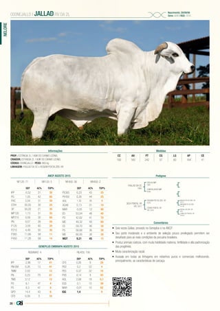 28 |
NELORE
PROP.: ESTÂNCIA 2L / ADIR DO CARMO LEONEL
CRIADOR: ESTANCIA 2L / ADIR DO CARMO LEONEL
CÓDIGO: 000NEJALLD | PESO: 960 kg
LINHAGEM: FAULAD DA SC x HOGUM POI DA ZEB. VR
000NEJALLD | JALLAD FIV DA 2L
Nascimento: 29/09/06
Série: ADIR | RGD: 1816
Informações Medidas
CC AA PT CG LG AP CE
182 160 242 57 60 164 41
Pedigree
Comentários
FAULAD DA SC
7955
SICA PONTAL VR
VRC 3017
GOLIAS IMP.
3981
HOGUM POI DA ZEB. VR
G343
CHINTALADEVI IMP.
B395
OSANI PONTAL VR
VRC 2424
ENUGU POI DA ZEB. VR
E5775
-
-
VISUAL DA ZEB. VR
D681
NIPUNAN PO DA ZEB.
AO 546
-
-
LUINA DA PONTAL VR
DS3052
•	 Seis vezes Golias, provado no Geneplus e na ANCP.
•	 Seu porte moderado e o ambiente de seleção pouco privilegiado permitem ser
desafiado para as reais condições da pecuária brasileira.
•	 Produz animais rústicos, com muita habilidade materna, fertilidade e alta padronização
das progênies.
•	 Muita caracterização racial.
•	 Acasala em todas as linhagens em rebanhos puros e comerciais melhorando,
principalmente, as características de carcaça.
ANCP AGOSTO 2015
DEP AC% TOP%
IPP -0,52 31 30
PG 1,05 42 80
PAC 2,54 31 30
STAY 55,05 30 25
3P 50,20 21 35
MP120 1,13 31 35
MP210 0,58 30 60
PN 0,57 26 50
P120 3,59 60 20
P210 4,49 50 30
P365 11,66 58 11
P450 11,26 58 14
DEP AC% TOP%
PE365 0,23 43 25
PE450 0,26 44 25
AOL 1,32 30 8
ACAB 0,13 31 10
MAR -0,05 12 90
ED 53,04 48 40
PD 42,62 41 70
MD 49,32 49 60
ES 59,70 46 30
PS 58,68 36 30
MS 60,05 38 30
MGT 9,21 45 15
NF120: 71 NR120: 5 NF450: 36 NR450: 2
GENEPLUS EMBRAPA AGOSTO 2015
REBANHO: 4 FILHOS: 195
DEP AC% TOP%
IPP -2,96 17 41
PM-EM 0,26 13 41
TMM 2,03 13
PN 0,23 70 81
TMD 3,12 12
PD 6,1 47 4
PS 6,3 47 8
GPD 14,4 43 6
CFD 0,09 5 16
DEP AC% TOP%
CFS 0,05 8 28
PED 0,2 22 4
PES 0,37 32 10
PVD 4,14 8 93
AOL 2,68 18 0,1
EGS 0,1 15 39
MAR -0,01 10 62
IQG 1,4 9
 