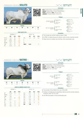 | 31
NELORE
PROP.: FAZENDA CRIOULA / CARLOS EDUARDO NOVAES
CRIADOR: FAZENDA CRIOULA / CARLOS EDUARDO NOVAES
CÓDIGO: 000NE06039 | PESO: 1090 kg em coleta
LINHAGEM: COSTUME DE NAVIRAÍ x FAULAD DA SC
Nascimento: 12/10/07
Série: CEN | RGD: 6039
Informações
000NE06039 | CEN 6039 SOLUTO
Pedigree
Comentários
COSTUME DE NAVIRAÍ
CSCN 7859
CEN 1791 DESTEMIDA
CEN 1791
TECELÃO DA SM
CSCN 6330
FAULAD DA SC
7955
TONICA DA SM
CSCN 6419
ESTEIRA DO ITUASSU
CM8894
GANDHI PO DA NI
L212
GOLIAS IMP
3981
PARAGUAÇU TE DE NAV.
CSCC 1167
GIM DE GARÇA
C23
ROMALIA DA FURNA
DX1129
CHINTALADEVI IMP.
B395
HABENA DE NAV
DB3736
RALHIDADE DA RV
BC1730
•	 Touro provado que combina Tecelão de Naviraí e Golias.
•	 No PMGZ, se destaca para peso de sobreano, ganho de peso e perímetro escrotal.
•	 Biotipo precoce de costelas muito profundas e ótima caracterização racial.
Medidas
CC AA PT CG LG AP CE
43
PROP.: FAZENDA CRIOULA / CARLOS EDUARDO NOVAES
CRIADOR: FAZENDA CRIOULA / CARLOS EDUARDO NOVAES
CÓDIGO: 000NE00561 | PESO: 1160 kg em coleta
LINHAGEM: BITELO SS x 1646 DA MN
Nascimento: 10/04/04
Série: CEN | RGD: 4180
Informações
000NE00561 | CEN 4180 NATRIO TE
Pedigree
Comentários
BITELO SS
G9000
CEN 2751 HARIANA
CEN 2751
LUDY DE GARÇA
C6740
1646 DA MN
D7661
TAREFA DA SS
DP8580
CEN 1606 CAROLINA TE
CEN 1606
GIM DE GARÇA
C23
BARRANCO 1171
B3194
CORINGA DA BAL.
C2582
LUDY DE GARÇA
C6740
HOMESSA DE GARÇA
AX4547
HIALITA LAMU
AP1631
PERFIDIA DA SS
CV8307
CEN 975 RAIA
BS5589
•	 Touro provado. Filho de Bitelo SS em vaca 1646 da MN.
•	 Destaque no Geneplus para as características maternas, perímetro escrotal e espessura
de gordura, sendo TOP 5% no IQG.
•	 Seus filhos são pesados e de boa caracterização racial.
Medidas
CC AA PT CG LG AP CE
190 164 247 69 75 177 43
PMGZ AGOSTO 2015
REBANHOS: 11 FILHOS: 144
DEP AC% TOP%
PD-ED 1,65 60 39
PS-ED 9,20 58 2
GPD 39,93 55 0,5
PM-EM 1,67 32 12
TMD 4,04 45 11
IPP 15,59 32 97
DEP AC% TOP%
PES 1,01 58 0,5
E
P
M
iABCZ 16,78 4
GENEPLUS EMBRAPA AGOSTO 2015
REBANHO: 3 FILHOS: 134
DEP AC% TOP%
IPP -24,70 15 8
PM-EM 2,57 1 1
TMM 3,96 2
PN 0,33 65 88
TMD 6,07 2
PD 5,1 13 7
PS 5,6 13 11
GPD 8,4 13 17
CFD 0,09 13 16
DEP AC% TOP%
CFS 0,12 13 10
PED 0,2 13 4
PES 0,09 13 38
PVD 0,31 13 57
AOL 0,46 12 18
EGS 0,9 11 1
MAR 0,02 9 17
IQG 1,68 5
 
