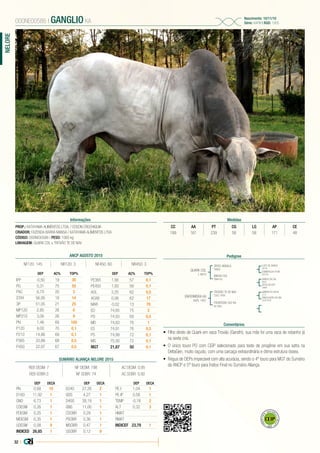 32 |
NELORE
PROP.: KATAYAMA ALIMENTOS LTDA. / EDSON CROCHIQUIA
CRIADOR: FAZENDA BARRA MANSA / KATAYAMA ALIMENTOS LTDA
CÓDIGO: 000NE00586 | PESO: 1065 kg
LINHAGEM: QUARK COL x TROVÃO TE DE NAV
000NE00586 | GANGLIO KA
Nascimento: 10/11/10
Série: KAPM | RGD: 1905
Informações Medidas
CC AA PT CG LG AP CE
189 161 239 58 58 171 48
Pedigree
Comentários
QUARK COL
L 4810
ENFERMEIRA KA
KAPL 1407
ZEFEC ABDALA
F9902
TROVÃO TE DE NAV
CSCC 1656
BNUVA COL
CM4163
FRONTEIRA 342 KA
BL1962
LUDY DE GARÇA
C6740
GANDHI PO DA NI
L212
QABUS DA CAL
B500
ESMERALDA A198
AC4732
ONDULAÇÃO DA SM
CSCN 5529
GOTA DA ESP.
L6894
•	 Filho direto de Quark em vaca Trovão (Gandhi), sua mãe foi uma vaca de rebanho já
na sexta cria.
•	 O único touro PO com CEIP selecionado para teste de progênie em sua safra na
DeltaGen, muito raçudo, com uma carcaça extraordinária e ótima estrutura óssea.
•	 Régua de DEPs impecável com alta acurácia, sendo o 4º touro para MGT do Sumário
da ANCP e 5º touro para Índice Final no Sumário Aliança.
ANCP AGOSTO 2015
DEP AC% TOP%
IPP -0,50 19 30
PG 0,31 75 50
PAC 6,70 20 3
STAY 56,95 18 14
3P 51,05 21 25
MP120 2,85 26 6
MP210 3,06 26 9
PN 1,46 69 100
P120 9,00 70 0,1
P210 14,86 69 0,1
P365 20,88 68 0,5
P450 22,97 67 0,5
DEP AC% TOP%
PE365 1,56 57 0,1
PE450 1,93 56 0,1
AOL 3,25 62 0,5
ACAB 0,06 62 17
MAR -0,02 13 70
ED 74,65 75 2
PD 74,93 69 0,5
MD 74,83 76 1
ES 74,91 76 0,5
PS 74,99 72 0,1
MS 75,00 72 0,1
MGT 21,87 50 0,1
NF120: 145 NR120: 3 NF450: 60 NR450: 3
SUMÁRIO ALIANÇA NELORE 2015
REB DESM: 7 NF DESM: 198 AC DESM: 0,95
REB SOBR:3 NF SOBR: 74 AC SOBR: 0,92
DEP DECA
PN 0,68 10
D160 11,92 1
GND 6,73 1
CDESM 0,26 1
PDESM 0,25 1
MDESM 0,35 1
UDESM 0,08 9
INDICED 26,85 1
DEP DECA
D240 27,26 2
GDS 4,27 1
D400 39,19 1
GNS 11,00 1
CSOBR 0,29 1
PSOBR 0,36 1
MSOBR 0,47 1
USOBR 0,12 9
DEP DECA
PE-I 1,04 1
PE-IP 0,58 1
TEMP -0,18 2
ALT 0,32 3
HMAT
RMAT
INDICEF 23,79 1
 