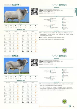 | 33
NELORE
PROP.: KATAYAMA ALIMENTOS LTDA. / MASSARO SAITO
CRIADOR: FAZENDA BARRA MANSA / KATAYAMA ALIMENTOS LTDA
CÓDIGO: 000NE00585 | PESO: 1063 kg
LINHAGEM: AVESSO DA BELA x 1646 DA MN
Nascimento: 04/10/10
Série: KAPM | RGD: 1683
Informações
000NE00585 | GAETAN KA
Pedigree
Comentários
AVESSO DA BELA
AZAN 5
OCLUSIVA FIV KA
KAP 2182
RAMBO DA MN
I1111
1646 DA MN
D7661
JURADA DA BONS
J131
ANALOGIA DA MONICA
EC8406
TANGO
C6692
BARRANCO 1171
B3194
DOBLE DA BONSUCESSO
G2543
LUDY DE GARÇA
C6740
A1359 DA MN
CB9862
HIALITA LAMU
AP1631
PERIBONKA
BL6748
ESTRELA DA E. ENEIDA
CM1031
•	 Filho de Avesso em vaca 1646 da MN, destaque na ANCP para peso pré e
pós-desmama e perímetro escrotal, muito equilibrado nas DEPs de estrutura
precocidade e musculosidade.
•	 Além de touro PO, também é CEIP e bem avaliado no Aliança.
•	 Apresenta carcaça comprida e de ótima caracterização racial.
Medidas
CC AA PT CG LG AP CE
191 163 235 56 57 172 45
PROP.: KATAYAMA ALIMENTOS LTDA. / ADELINO BRANTIS
CRIADOR: FAZENDA BARRA MANSA / KATAYAMA ALIMENTOS LTDA
CÓDIGO: 000NE00607 | PESO: 610 kg
LINHAGEM: FIO TE NAVIRAI x MERENGUE TE KA
Nascimento: 12/09/12
Série: KAPM | RGD: 2944
Informações
000NE00607 | INKAR KA
Pedigree
Comentários
FIO TE DE NAVIRAI
CSCN 9126
3536 BENFICA KA
KAPL 3536
QUARK COL
L4810
MERENGUE TE KA
KAP 1242
SERINGA DA SM
CSCN 6122
BENFICA KA
DI6453
ZEFEC ABDALA
F9902
ENLEVO DA MORUNG.
SIQ 815
PANAGPUR AL DA PAUL.
G1000
BNUVA DA COL.
CM4163
CANELA ST SAO MARCOS
ED25
OLGA DA SM
EB25
•	 Touro jovem destaque de sua safra, é PO CEIP. Em seu pedigree apresenta Quark Col
e sua mãe é uma grande doadora do plantel Katayama.
•	 Na ANCP, se destaca na avaliação morfológica (estrutura, precocidade e
musculosidade) no desmame e no sobreano e também na avaliação de carcaça (AOL
e acabamento), mostrando sua habilidade de produção de carne.
Medidas
CC AA PT CG LG AP CE
146 154 210 53 45 157 40
ANCP AGOSTO 2015
DEP AC% TOP%
IPP -1,07 18 4
PG -1,17 69 5
PAC 4,41 17 12
STAY 57,80 18 11
3P 56,20 18 3
MP120 2,52 24 9
MP210 3,09 23 9
PN 0,63 65 60
P120 7,71 65 0,5
P210 11,94 64 0,5
P365 18,66 65 1
P450 18,24 66 2
DEP AC% TOP%
PE365 0,94 54 2
PE450 1,24 57 2
AOL 1,45 59 7
ACAB -0,01 60 40
MAR -0,08 8 100
ED 66,81 76 17
PD 73,16 74 5
MD 71,71 76 8
ES 73,39 75 5
PS 74,29 71 3
MS 74,25 71 3
MGT 19,08 48 0,5
NF120: 102 NR120: 3 NF450: 55 NR450: 3
ANCP AGOSTO 2015
DEP AC% TOP%
IPP -0,62 18 19
PG -0,95 33 6
PAC 7,08 18 3
STAY 57,40 15 12
3P 52,70 20 12
MP120 2,34 22 11
MP210 4,52 21 2
PN 1,54 29 100
P120 8,66 31 0,5
P210 12,42 31 0,5
P365 16,51 35 2
P450 20,32 35 1
DEP AC% TOP%
PE365 0,45 34 10
PE450 0,68 35 7
AOL 1,44 31 7
ACAB 0,32 31 3
MAR 0,02 5 20
ED 74,62 46 2
PD 74,97 41 0,1
MD 74,78 47 1
ES 74,70 46 2
PS 74,58 41 2
MS 74,69 41 2
MGT 16,09 30 2
NF120: 0 NR120: 0 NF450: 0 NR450: 0
 
