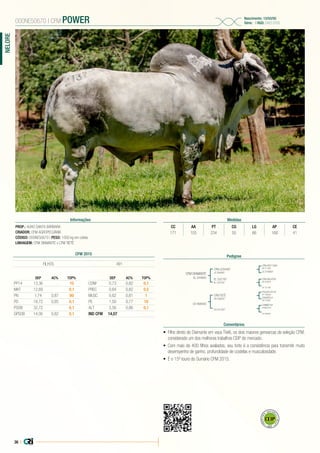 36 |
NELORE
PROP.: AGRO SANTA BÁRBARA
CRIADOR: CFM AGROPECUÁRIA
CÓDIGO: 000NE50670 | PESO: 1050 kg em coleta
LINHAGEM: CFM DIAMANTE x CFM TIETÊ
000NE50670 | CFM POWER Nascimento: 13/03/05
Série: - | RGD: CH213705
Informações Medidas
CC AA PT CG LG AP CE
171 155 234 55 66 168 41
Pedigree
Comentários
CFM DIAMANTE
EL 544693
CH 908400
CFM JC04487
JC 094487
CFM TIETÊ
AR 358287
EL 532187
EL 532187
CH 551397
CFM AR217684
AR 217684
FAULAD DA SC
PO 795568
CFM ABLATOR
AR 003979
CHRM0797
CHRM 0797
JC 016684
CAGAROLA
AR 078881
SF 101780
CH 009491
•	 Filho direto do Diamante em vaca Tietê, os dois maiores genearcas da seleção CFM,
considerado um dos melhores trabalhos CEIP do mercado.
•	 Com mais de 400 filhos avaliados, seu forte é a consistência para transmitir muito
desempenho de ganho, profundidade de costelas e musculosidade.
•	 É o 15º touro do Sumário CFM 2015.
CFM 2015
DEP AC% TOP%
PP14 13,36 10
MAT 12,69 0,1
PN 1,74 0,87 90
PD 18,72 0,85 0,1
PSOB 32,72 0,1
GPSOB 14,00 0,82 0,1
DEP AC% TOP%
CONF 0,73 0,82 0,1
PREC 0,64 0,82 0,5
MUSC 0,62 0,81 1
PE 1,50 0,77 10
ALT 3,56 0,86 0,1
IND CFM 14,07
FILHOS 491
 