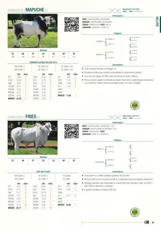 | 39
NELORE
PROP.: AGROPECUÁRIA JACAREZINHO
CRIADOR: AGROPECUÁRIA JACAREZINHO
CÓDIGO: 000NE02039 | PESO: 980 kg
LINHAGEM: JAÇANÃ AJ x CATITU AJ
Nascimento: 18/11/09
Série: - | RGD: 1046609AJN
Informações
000NE02039 | MAPUCHE AJ
Pedigree
Comentários
JAÇANÃ AJ
898806 AJ
BRAHMS AJ
CATITU AJ
469801 AJ
301003 AJ
DICAVALCANTI AJ
RONDON AJ
KULAL AJ
915700 AJ
860198 AJ
393399 AJ
083992 CH
193095 AJ
•	 Touro provado fechado na linhagem AJ.
•	 Excelente fenótipo que combina profundidade e comprimento corporal.
•	 Traz uma das réguas de DEPs mais harmônicas de todo o Aliança.
•	 Peso ao nascer negativo combinado ao rápido crescimento e padronização à desmama
e ao sobreano, aliando ainda precocidade sexual. Um touro completo.
Medidas
CC AA PT CG LG AP CE
188 164 236 46 57 174 44
PROP.: AGROPECUÁRIA JACAREZINHO LTDA
CRIADOR: AGROPECUÁRIA JACAREZINHO LTDA
CÓDIGO: 000NE02009 | PESO:
LINHAGEM: COBRE AJ x DVORAK AJ
Nascimento: 19/11/12
Série: - | RGD: 114312AJ
Informações
000NE02009 | FRIES AJ
Pedigree
Comentários
COBRE AJ
1003509AJN
ITAUBA AJ
DVORAK AJ
074501AJ
966606AJ
FELIUS AJ
013999AJ
•	 Touro jovem e a melhor avaliação genética de sua safra.
•	 Filho do Cobre AJ em uma vaca Dvorak AJ, importantes touros da seleção Jacarezinho.
•	 Destaque absoluto para velocidade de crescimento pós-desmama, além de DECA 1
para CPM na desmama e sobreano.
•	 A grande novidade na bateria CEIP CRI.
Medidas
CC AA PT CG LG AP CE
SUMÁRIO ALIANÇA NELORE 2015
REB DESM: 2 NF DESM: 28 AC DESM: 0,82
REB SOBR: 2 NF SOBR: 27 AC SOBR: 0,80
DEP DECA
PN -0,40 2
D160 10,94 1
GND 5,63 1
CDESM 0,21 1
PDESM 0,23 1
MDESM 0,27 1
UDESM 0,03 7
INDICED 22,39 1
DEP DECA
D240 20,23 2
GDS 2,76 2
D400 31,17 2
GNS 8,40 1
CSOBR 0,29 1
PSOBR 0,29 1
MSOBR 0,32 1
USOBR 0,04 7
DEP DECA
PE-I 0,54 1
PE-IP 0,19 3
TEMP -0,09 4
ALT 1,44 1
HMAT
RMAT
INDICEF 17,66 1
CEIP DELTA GEN
REB DESM: 0 NF DESM: 0 AC DESM:
REB SOBR:0 NF SOBR: 0 AC SOBR:
DEP DECA
PN 0,07 6
D160 6,17 2
GND 6,17 2
CDESM 0,21 1
PDESM 0,45 1
MDESM 0,37 1
UDESM 0,15 10
INDICED 20,71 1
DEP DECA
D240 49,61 1
GDS 49,61 1
D400 55,78 1
GNS 55,78 1
CSOBR 0,29 1
PSOBR 0,60 1
MSOBR 0,56 1
USOBR 0,15 10
DEP DECA
PE-I 0,77 1
PE-IP 0,38 2
TEMP
ALT 0,17 4
HMAT
RMAT
INDICEF 23,60 1
 