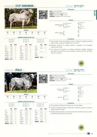 | 41
NELORE
PROP.: EDSON CROCHIQUIA
CRIADOR: KATAYAMA ALIMENTOS LTDA.
CÓDIGO: 000NE00590 | PESO: 1190 Kg
LINHAGEM: HANUMAN DA MAT x Vaca comercial
Nascimento: 27/08/09
Série: KAPL | RGD: 3137
Informações
000NE00590 | 3137 HANUMAN KA
Pedigree
Comentários
HANUMAN DA MAT
RDM 2267
CURICACA 495898
CL 3254
EXPOENTE DA MAT
RDM 964
FHALA DA MAT
RDM 1464
PAYSANDU DE NAV
CSCC 1192
RAMBO DA MN
I 1111
JACIRA 71
OJJ 4330
SINFONICA DA JAB.
DS9624
•	 Touro provado. Oriundo do tradicional criatório e rebanho de seleção da Pecuária
Katayama, filho de Hanuman da Matinha em uma vaca LA.
•	 Espetacular reprodutor, de costelas profundas e arqueadas e uma musculatura
raramente vista na raça.
•	 3137 Hanuman KA apresenta um excelente desempenho genético, imprimindo
precocidade de acabamento e muita musculatura, conforme suas DEPs de CPM ao
desmame e sobreano.
Medidas
CC AA PT CG LG AP CE
171 164 238 59 61 169 42
PROP.: ANTONIO CARLOS BRUNER
CRIADOR: ANTONIO CARLOS BRUNER
CÓDIGO: 000NE00587 | PESO: 1000 kg em coleta
LINHAGEM: PROVADOR IZ x KULAL AJ
Nascimento: 10/10/06
Série: - | RGD: 644906TUL
Informações
000NE00587 | ÁTILA TUL
Pedigree
Comentários
PROVADOR IZ
IZSN 3832
365303TUL
MARISCO IZ
I3448
KULAL AJ
CADENTE 576
BT2557
035393TUL
ESCALDADO
E1406
CFM VISÃO
UNTIVO 2203
C3480
GAMA
CM8178
248187JC
NUANCA 1096
AC6469
•	 Touro provado. Filho direto do Provador IZ em uma vaca Kulal AJ.
•	 Seu forte é velocidade de ganho em peso tanto na desmama, quanto no sobreano e
excelente perímetro escrotal.
•	 Progênie desmama pesada e com frame grande, além de fêmeas precoces e férteis,
característica que traz de sua linha materna.
Medidas
CC AA PT CG LG AP CE
174 150 235 59 50 159 40
SUMÁRIO ALIANÇA NELORE 2015
REB DESM: 5 NF DESM: 517 AC DESM: 0,97
REB SOBR: 3 NF SOBR: 164 AC SOBR: 0,95
DEP DECA
PN 0,38 9
D160 7,39 1
GND 3,51 1
CDESM 0,25 1
PDESM 0,00 5
MDESM 0,08 3
UDESM -0,02 4
INDICED 12,11 2
DEP DECA
D240 28,48 1
GDS 3,78 1
D400 35,88 1
GNS 7,28 1
CSOBR 0,27 1
PSOBR -0,02 6
MSOBR 0,14 3
USOBR -0,03 4
DEP DECA
PE-I 0,72 1
PE-IP 0,39 2
TEMP -0,10 4
ALT 0,54 2
HMAT -1,10 8
RMAT 9,04 2
INDICEF 12,48 2
SUMÁRIO ALIANÇA NELORE 2015
REB DESM: 2 NF DESM: 62 AC DESM: 0,89
REB SOBR: 1 NF SOBR: 38 AC SOBR: 0,83
DEP DECA
PN 0,86 10
D160 6,46 2
GND 2,56 2
CDESM 0,28 1
PDESM 0,50 1
MDESM 0,40 1
UDESM -0,07 2
INDICED 19,11 1
DEP DECA
D240 20,72 2
GDS 2,83 2
D400 27,19 2
GNS 5,38 2
CSOBR 0,17 2
PSOBR 0,28 1
MSOBR 0,24 1
USOBR -0,09 2
DEP DECA
PE-I 0,24 3
PE-IP 0,00 5
TEMP
ALT 0,13 5
HMAT
RMAT
INDICEF 15,30 1
 