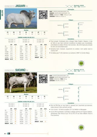 44 |
NELORE
PROP.: AGROPECUÁRIA MARAGOGIPE LTDA
CRIADOR: AGROPECUÁRIA MARAGOGIPE LTDA
CÓDIGO: 000NE00579 | PESO: 1098 kg em coleta
LINHAGEM: PACIFICO AJ x KULAL AJ
Nascimento: 10/05/05
Série: - | RGD: 7586405FM
Informações
000NE00579 | JAGUARI FM
Pedigree
Comentários
PACIFICO AJ
196200 FM
-
CFM TIETÊ
KULAL AJ
030282JZ
43290 FM
FAULAD DA SC
CFM VISÃO
CAÇAROLA
248187JC
•	 Touro provado. Combinação entre a linhagem Golias (Faulad) e Akasamu, é neto
de Tietê em vaca Kulal, conferindo consistência de pedigree para musculosidade,
profundidade de costelas e fêmeas muito funcionais - alta conformação para produção
de carne com precocidade sexual.
•	 Apresenta frame moderado, arqueamento de costelas e bom padrão racial no
universo CEIP.
•	 Se destaca para P e M à desmama e ao sobreano e RMAT no Sumário Aliança.
Medidas
CC AA PT CG LG AP CE
179 153 242 65 65 158 42
PROP.: AGROPECUÁRIA MARAGOGIPE LTDA
CRIADOR: AGROPECUÁRIA MARAGOGIPE LTDA
CÓDIGO: 000NE00592 | PESO: 860 kg
LINHAGEM: CFM OPIO x KULAL AJ
Nascimento: 18/11/10
Série: - | RGD: 115410FM
Informações
000NE00592 | SUCURIÚ FM
Pedigree
Comentários
CFM OPIO
7068006 FM
CFM HALTERES
KULAL AJ
422796SF
96703 FM
TIETE
•	 Filho de CFM Ópio em vaca Kulal AJ, apresenta bom crescimento pós-desmama,
biotipo precoce e ótimo perímetro escrotal.
•	 Touro número 1 do teste de progênie 2012 do DeltaGen na Maragogipe.
•	 Sucuriú FM foi genotipado e submetido à avaliação genômica do Programa DeltaGen,
apresentando nada menos do que 70% de ACC em seu Índice DeltaGen (Final) na
Prova Genômica.
Medidas
CC AA PT CG LG AP CE
175 177 225 52 56 166 37
SUMÁRIO ALIANÇA NELORE 2015
REB DESM: 4 NF DESM: 98 AC DESM: 0,92
REB SOBR: 4 NF SOBR: 49 AC SOBR: 0,89
DEP DECA
PN 0,96 10
D160 -0,81 6
GND -0,24 6
CDESM 0,04 4
PDESM -0,01 6
MDESM 0,01 5
UDESM 0,17 10
INDICED -0,32 6
DEP DECA
D240 38,29 1
GDS 5,86 1
D400 37,48 1
GNS 5,63 2
CSOBR 0,16 2
PSOBR 0,15 2
MSOBR 0,23 1
USOBR 0,19 10
DEP DECA
PE-I 0,73 1
PE-IP 0,67 1
TEMP -0,13 3
ALT -0,06 6
HMAT
RMAT
INDICEF 10,48 2
SUMÁRIO ALIANÇA NELORE 2015
REB DESM: 19 NF DESM: 747 AC DESM: 0,97
REB SOBR: 14 NF SOBR: 307 AC SOBR: 0,97
DEP DECA
PN 0,12 7
D160 4,30 3
GND 1,63 3
CDESM 0,12 2
PDESM 0,25 1
MDESM 0,23 1
UDESM -0,09 2
INDICED 10,72 2
DEP DECA
D240 4,30 5
GDS 0,20 5
D400 8,61 4
GNS 1,83 4
CSOBR 0,11 3
PSOBR 0,37 1
MSOBR 0,22 1
USOBR -0,09 2
DEP DECA
PE-I -0,71 10
PE-IP -0,69 10
TEMP -0,06 4
ALT 0,22 4
HMAT 1,65 2
RMAT 18,21 1
INDICEF 5,63 3
 